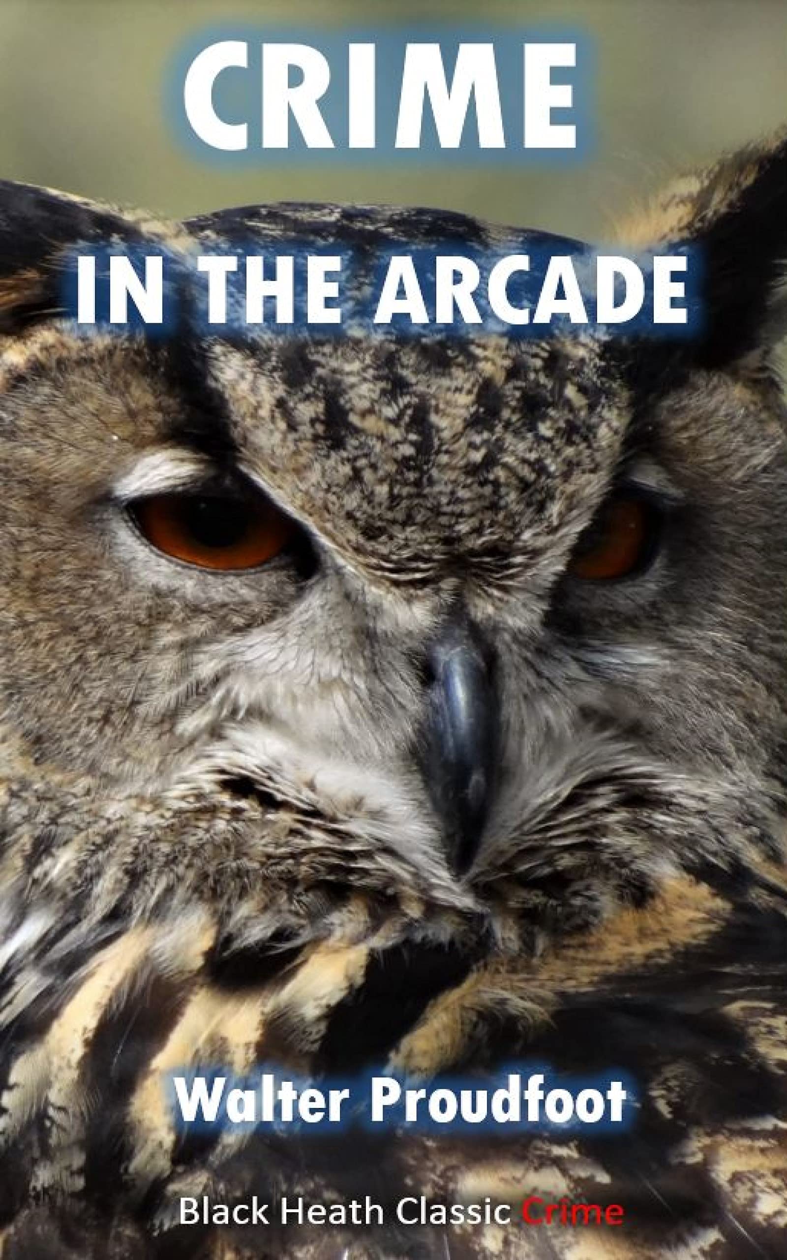 Crime in the Arcade: A Golden Age Murder Mystery