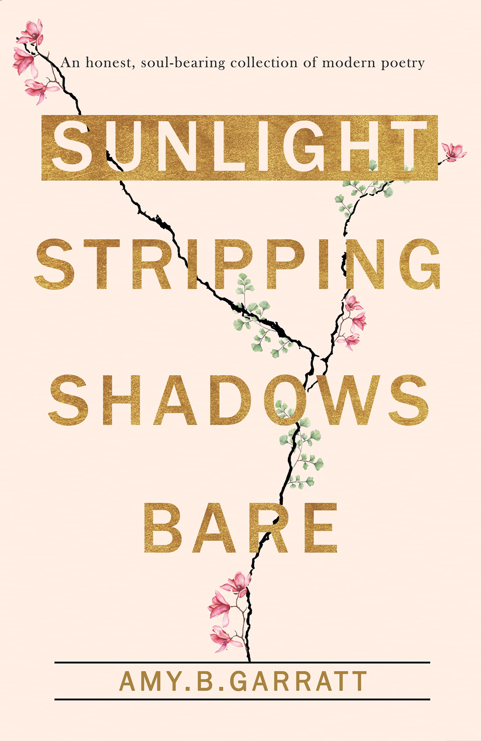 Sunlight Stripping Shadows Bare