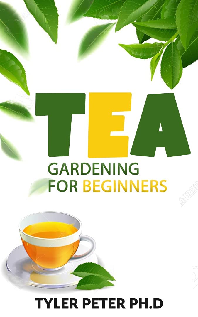 Tea Gardening For Beginners The Perfect Guide To Starting And Growing