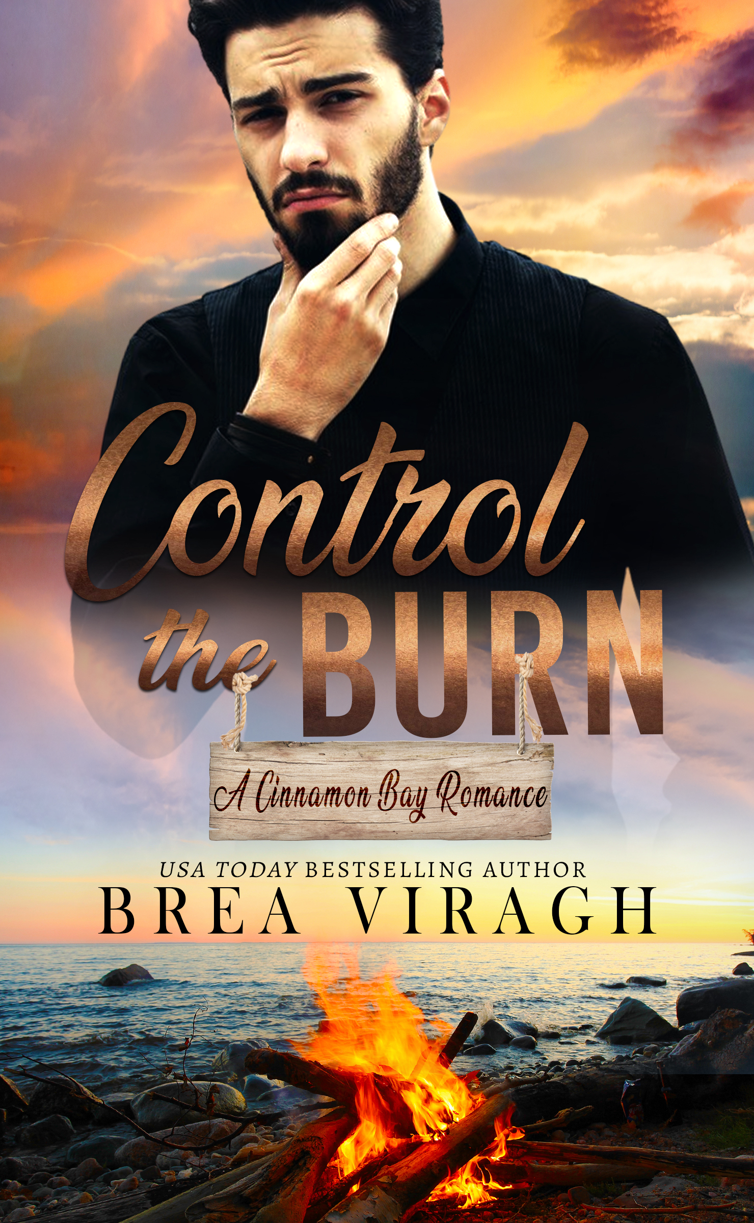 Control the Burn book cover