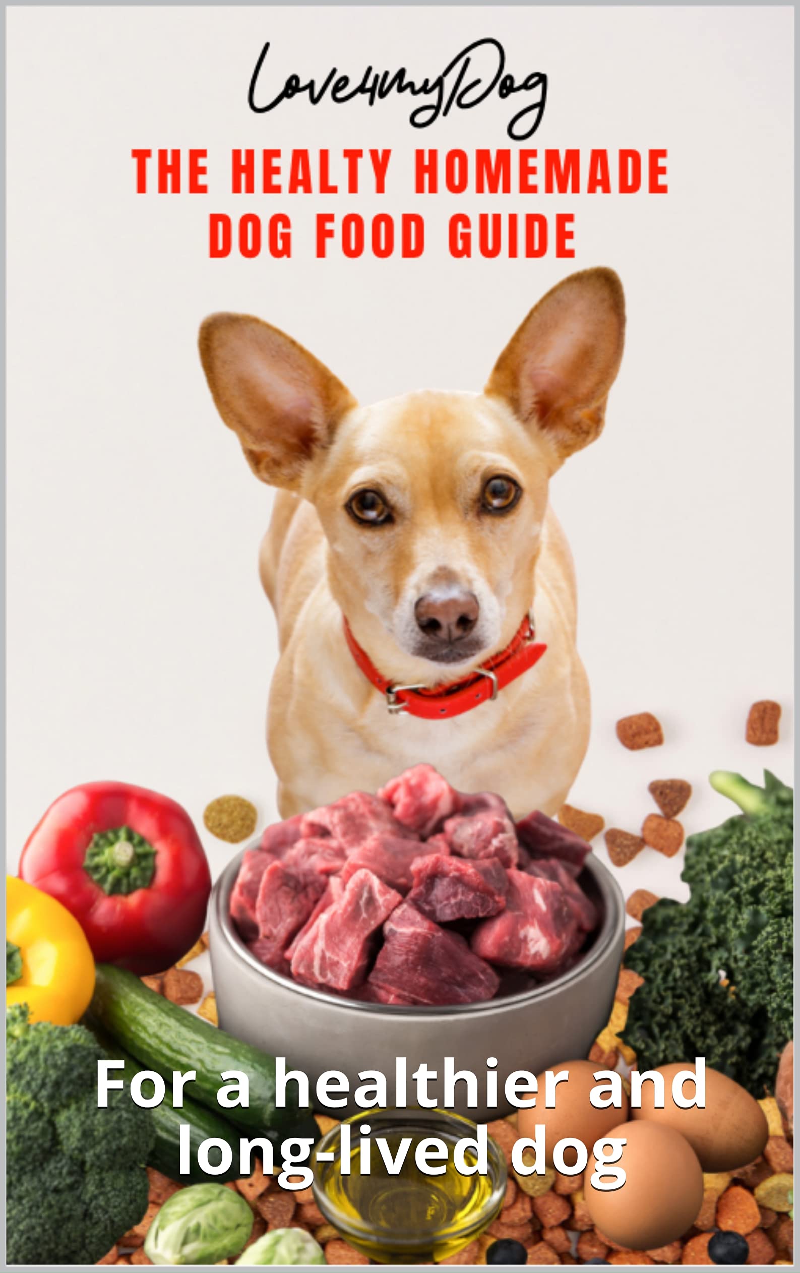 Healthy Homemade Dog Food Guide For a healthier and longlived dog by