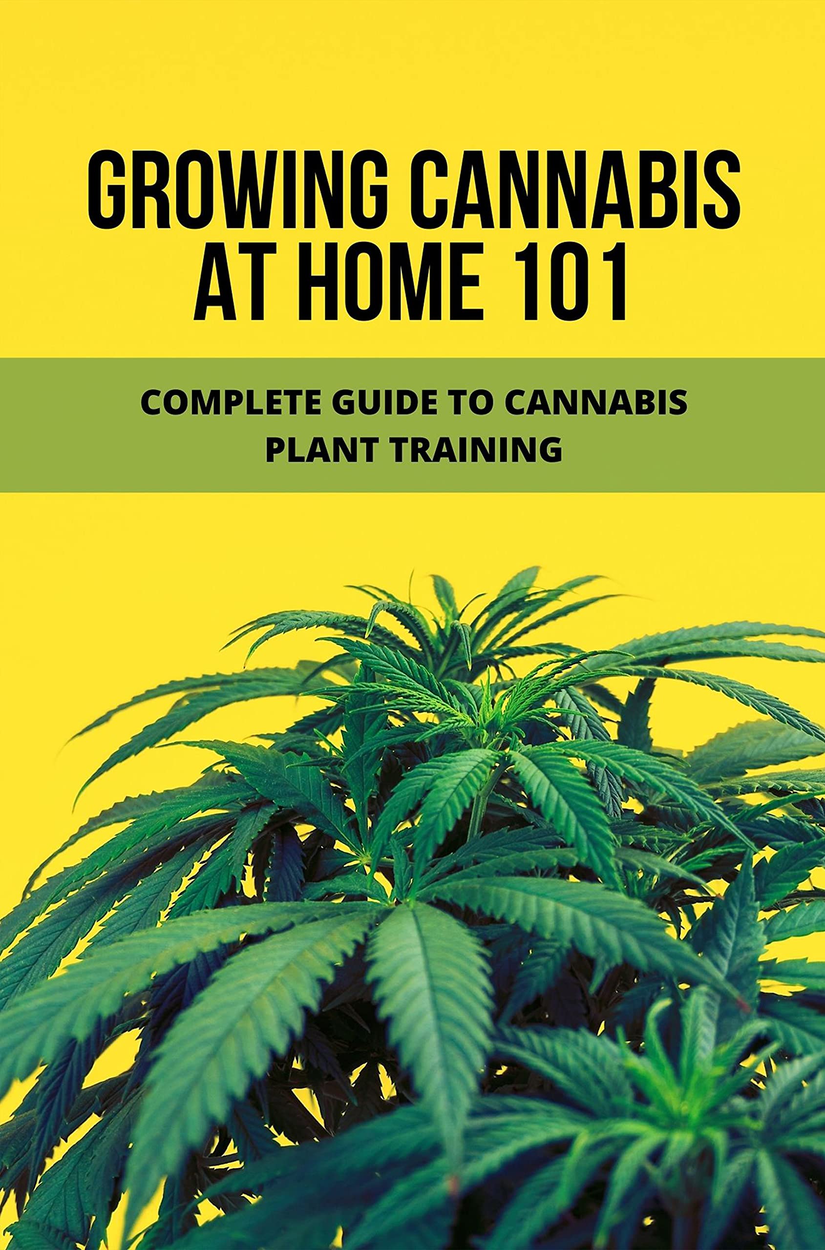 Growing Cannabis At Home 101: Complete Guide To Cannabis Plant Training