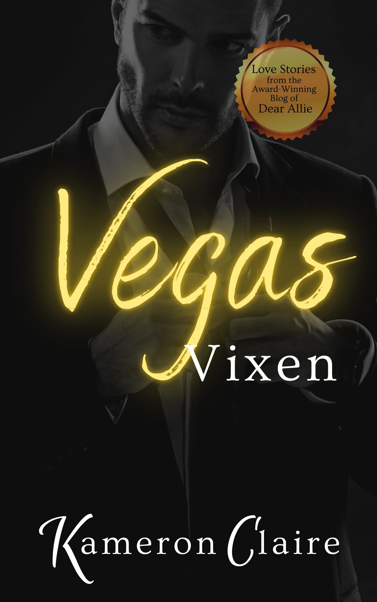 Vegas Vixen book cover