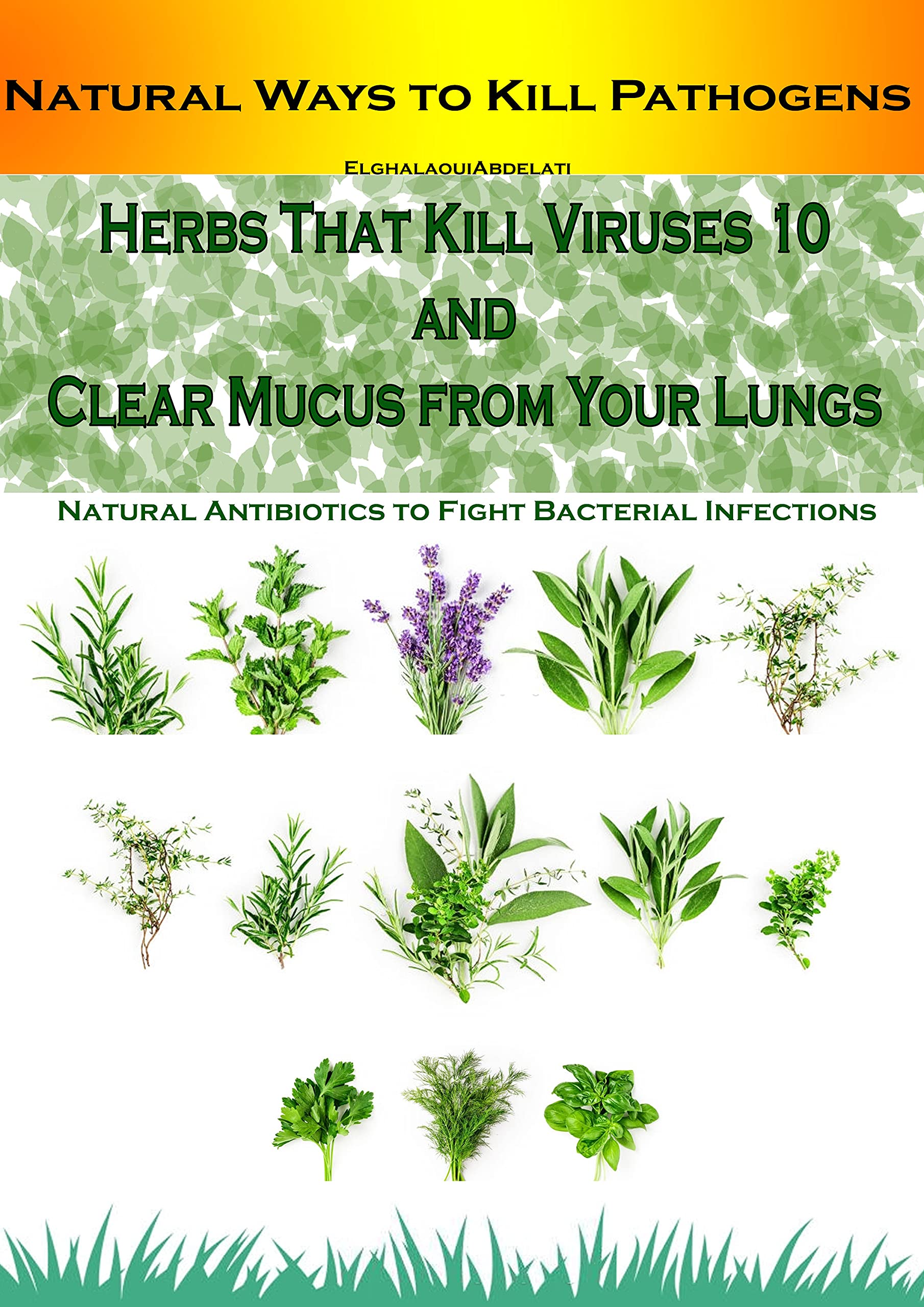 Herbs That Kill Viruses and Clear Mucus from Your Lungs Natural