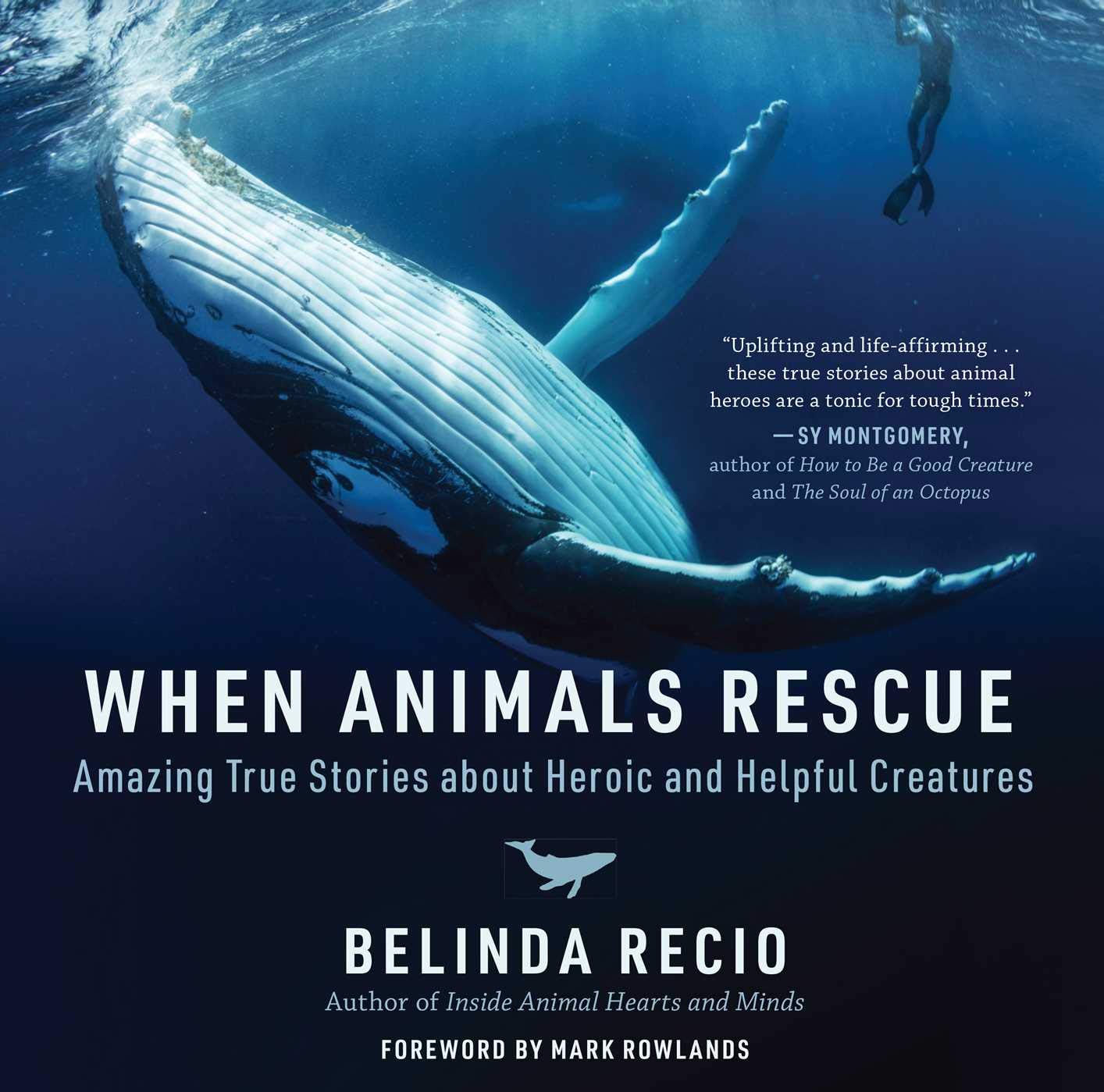 When Animals Rescue Amazing True Stories About Heroic And Helpful 