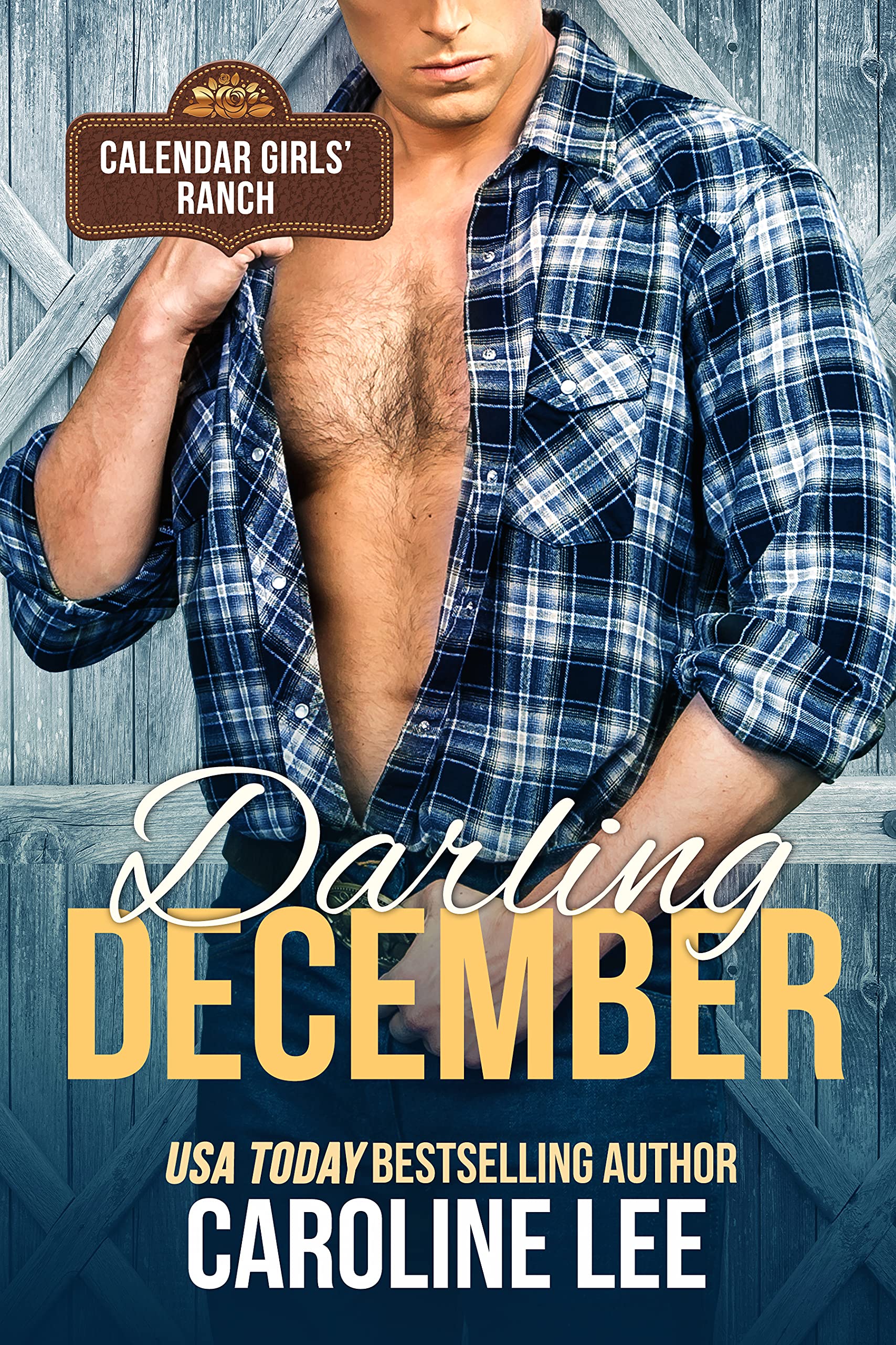 Darling December book cover
