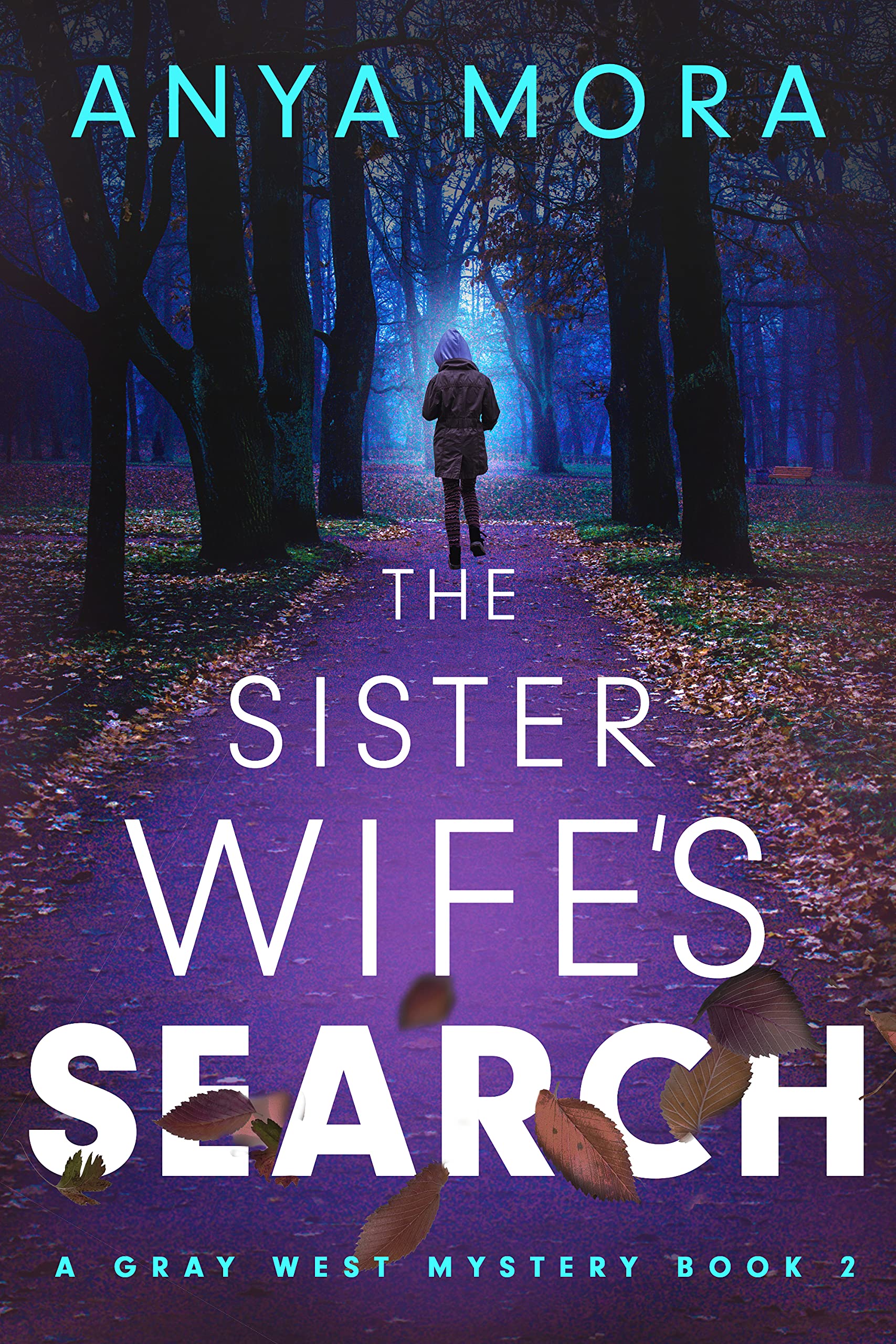 The Sister Wife's Search book cover