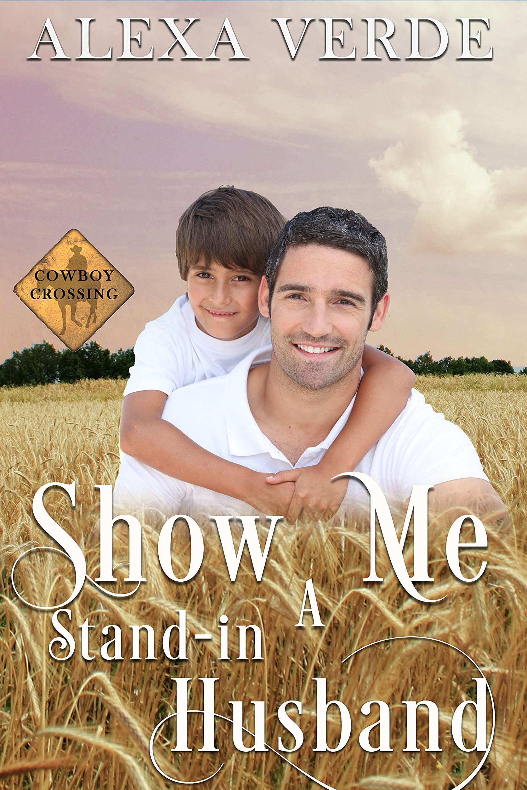 Show Me a Stand-in Husband book cover