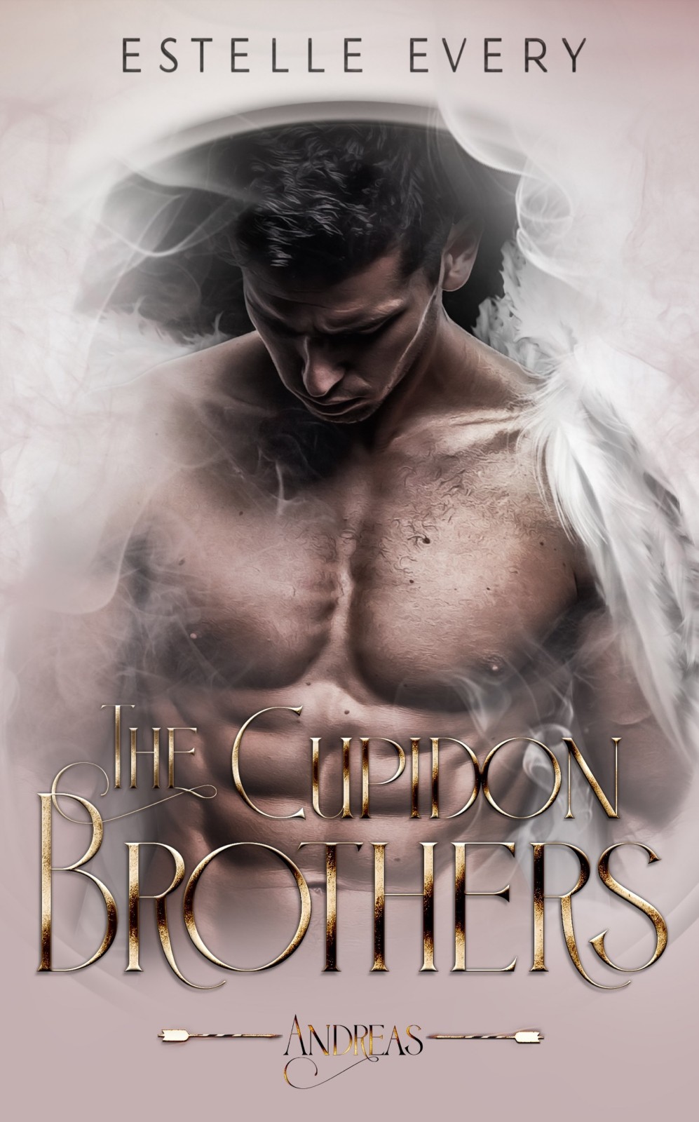 The Cupidon Brothers book cover