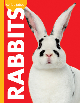 Curious about Rabbits book cover