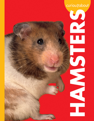 Curious about Hamsters book cover