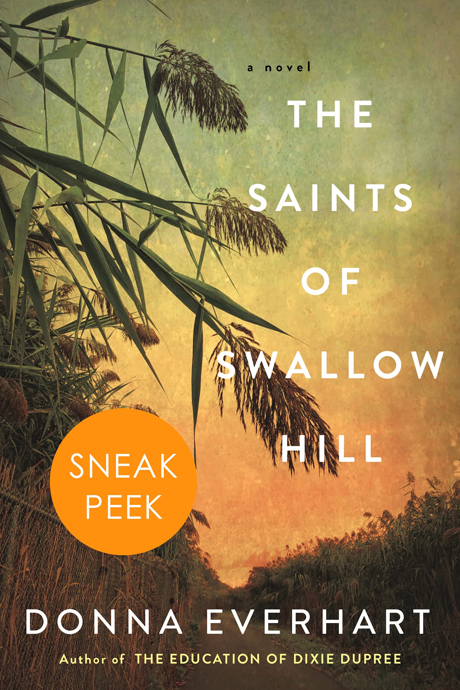 The Saints of Swallow Hill: Sneak Peek