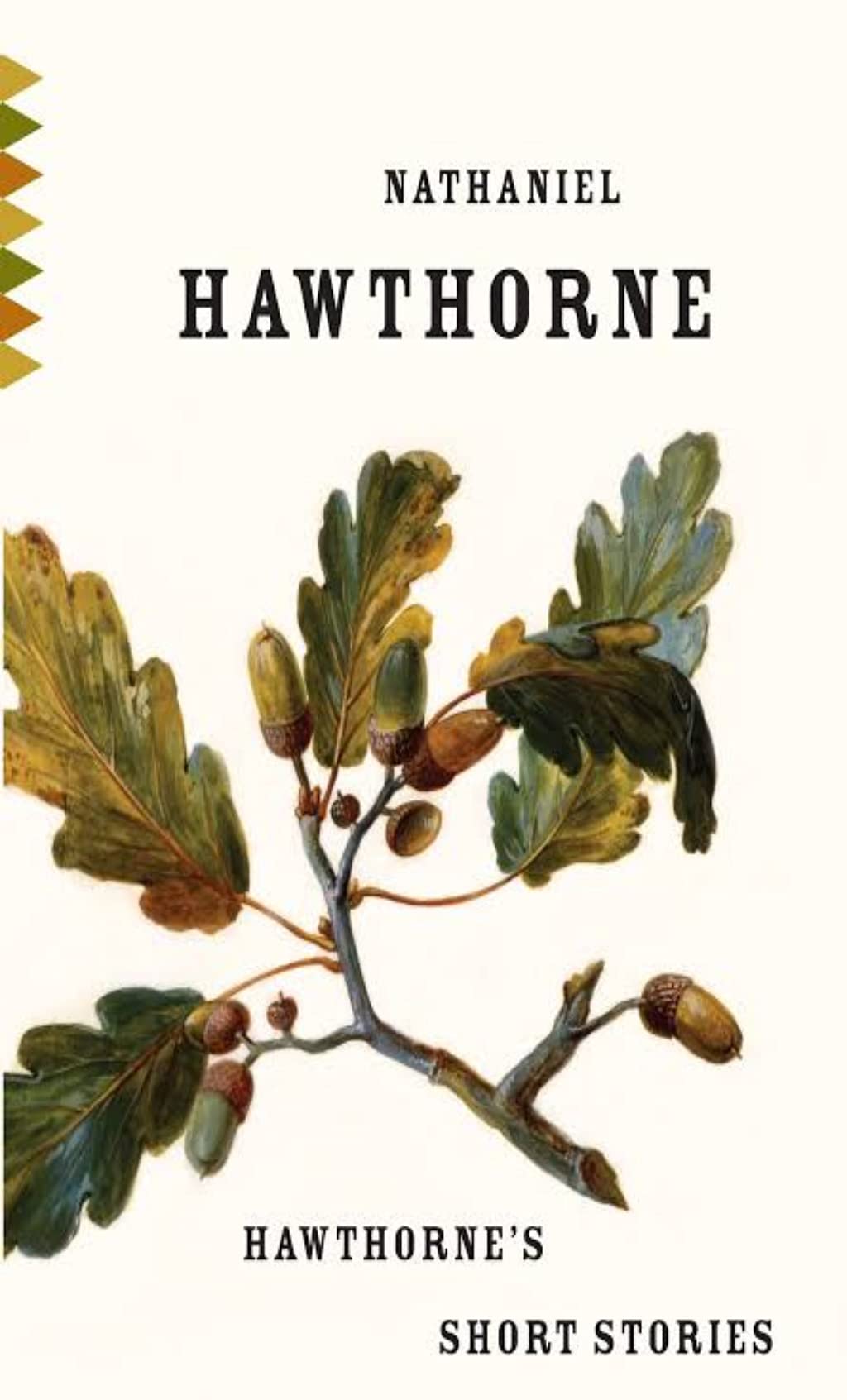 Nathaniel Hawthorne's Short Stories book cover
