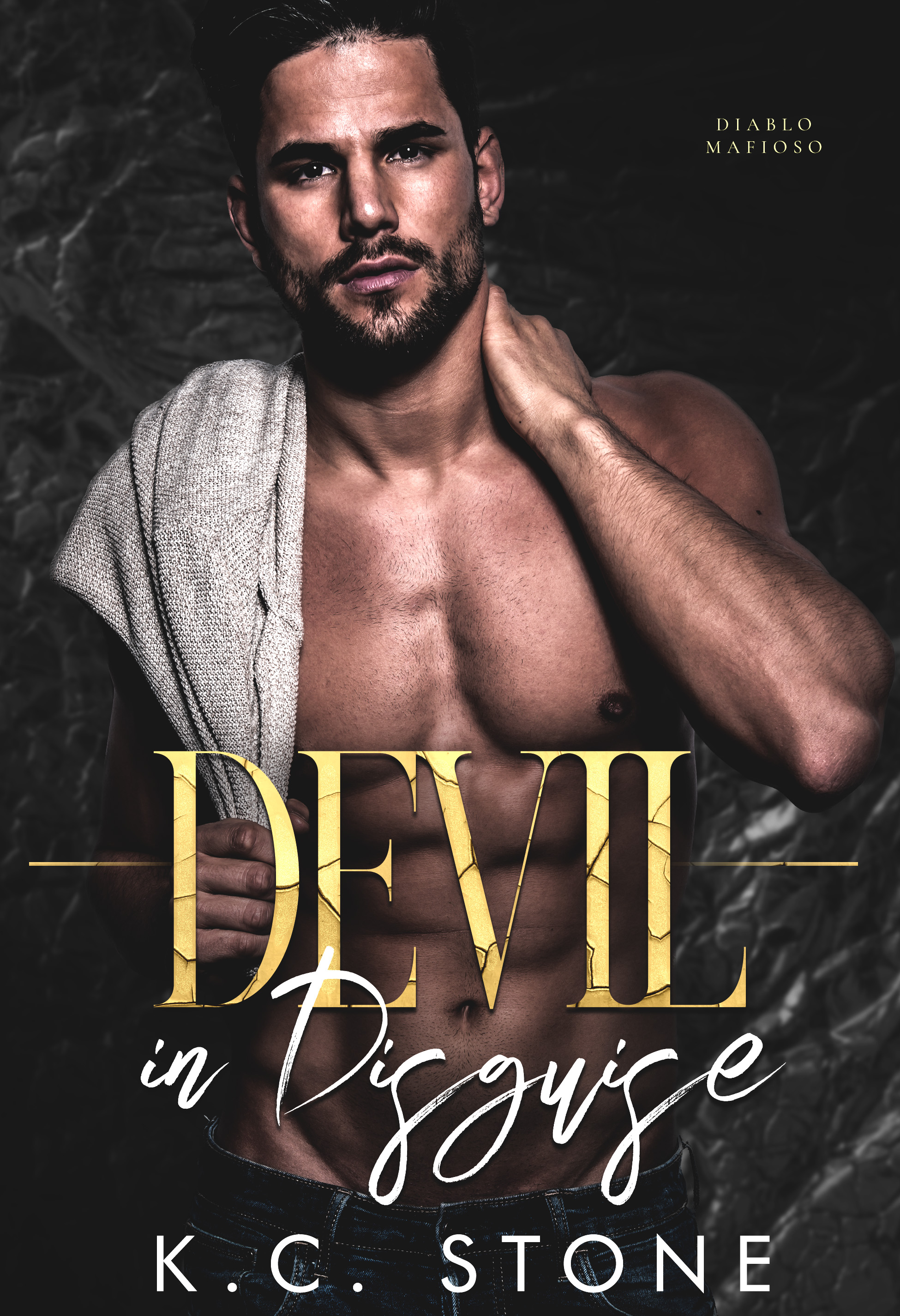 Devil in Disguise book cover