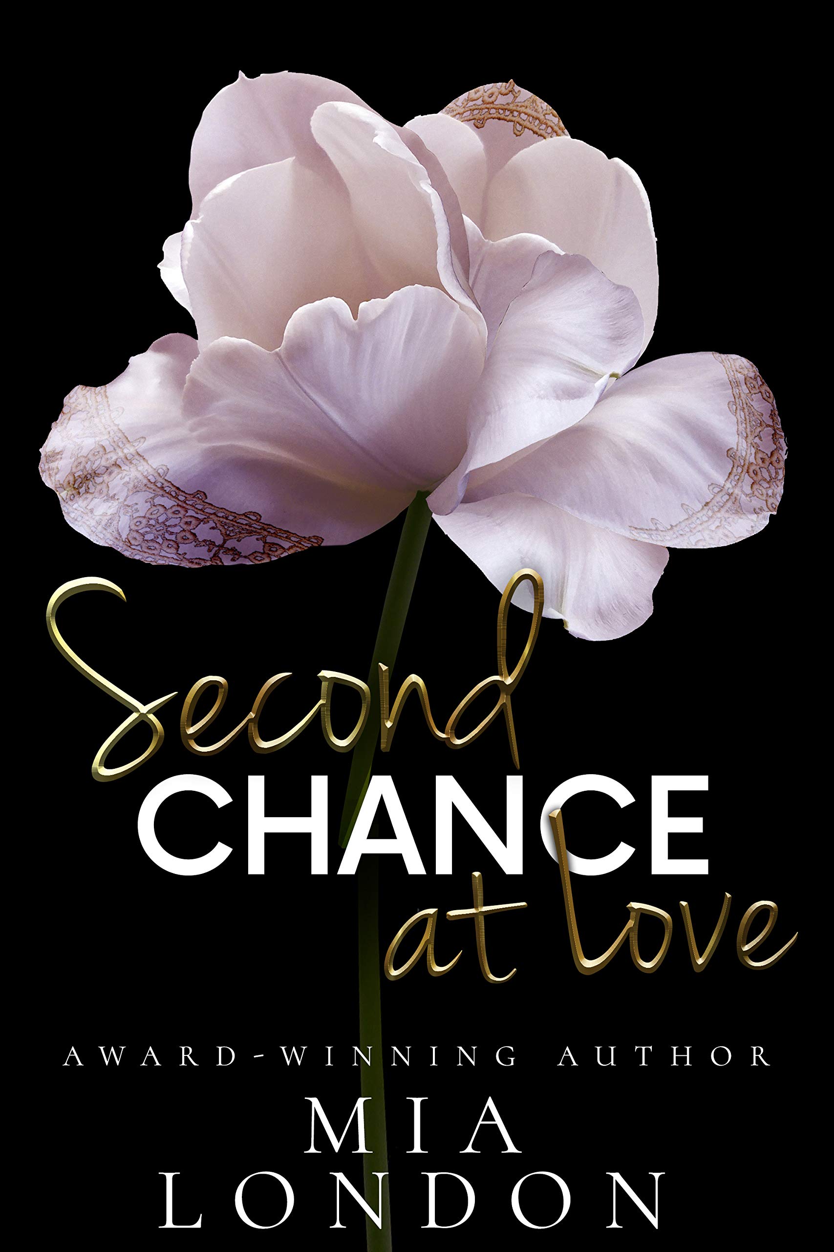 Second Chance at Love book cover