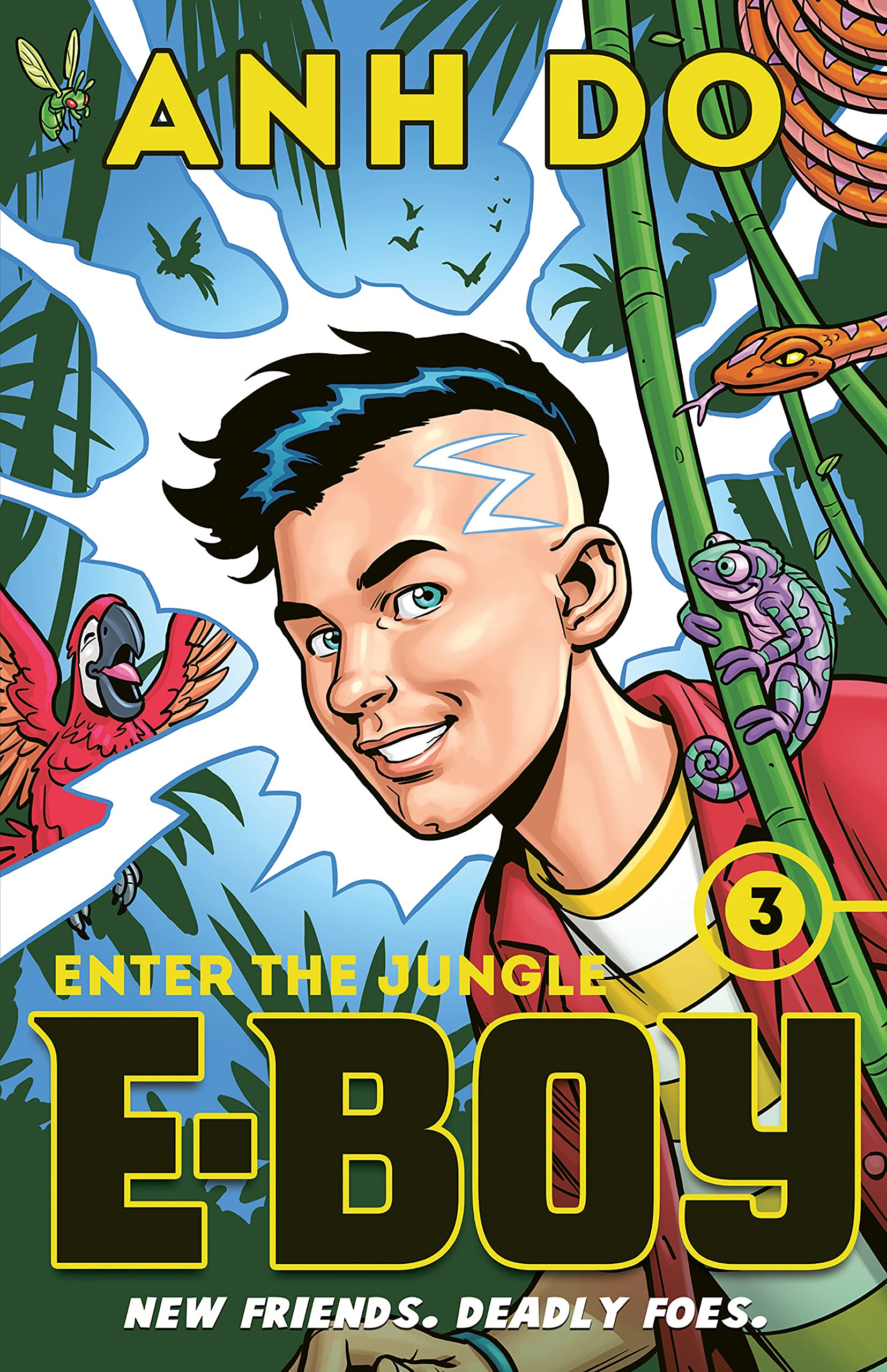 E-Boy book cover