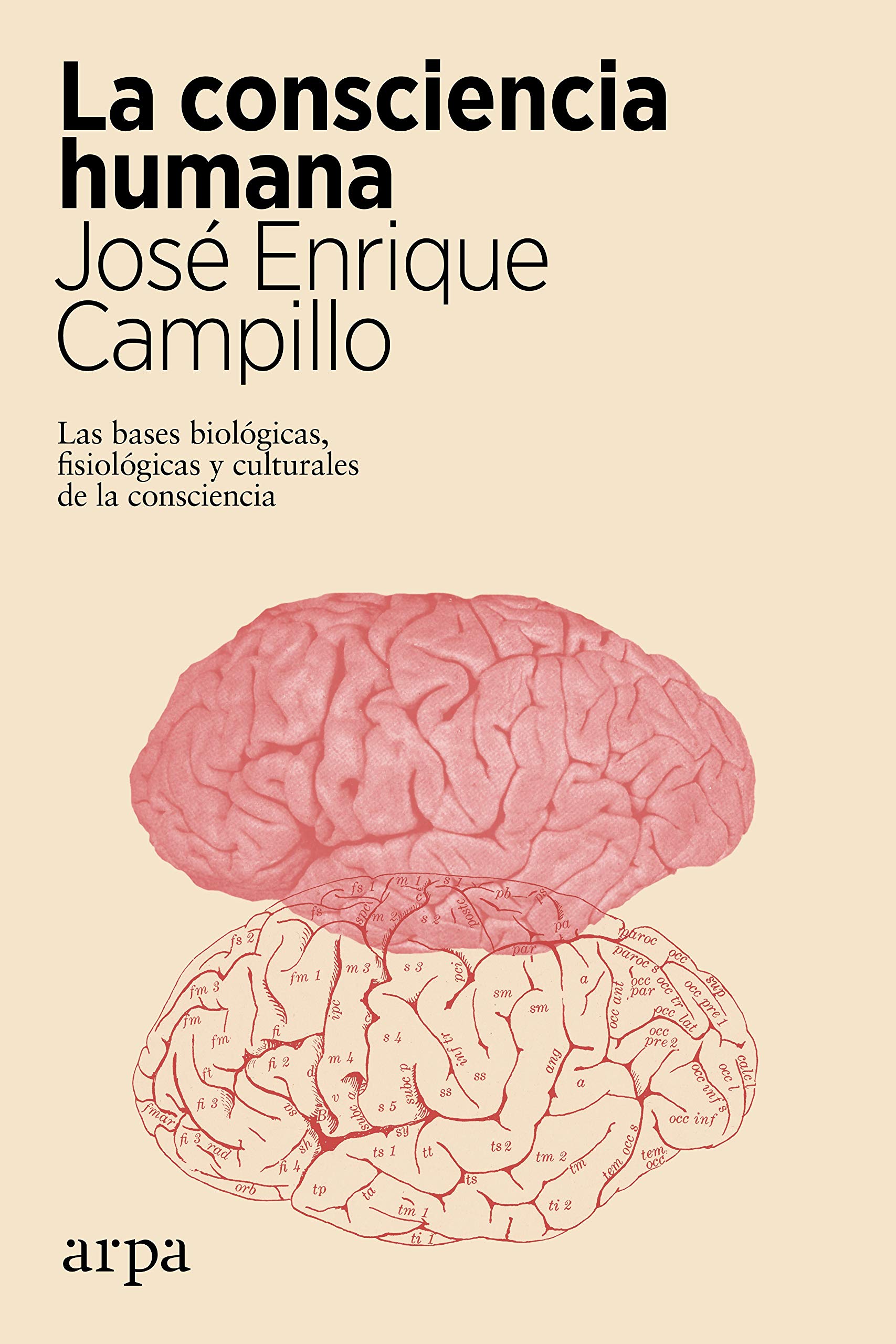La consciencia humana: Las bases biológicas, fisiológicas y culturales de la consciencia