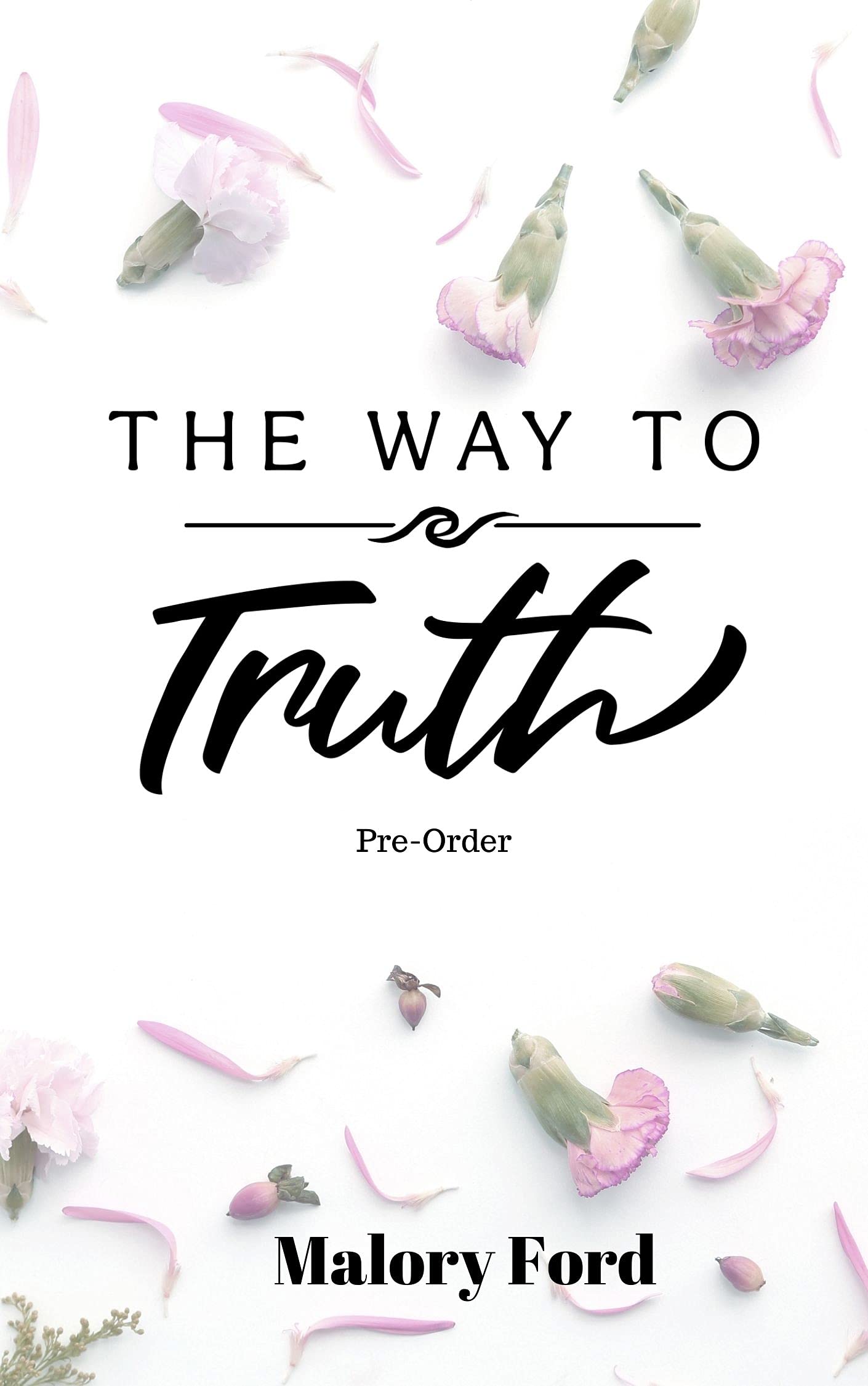 The Way to Truth book cover