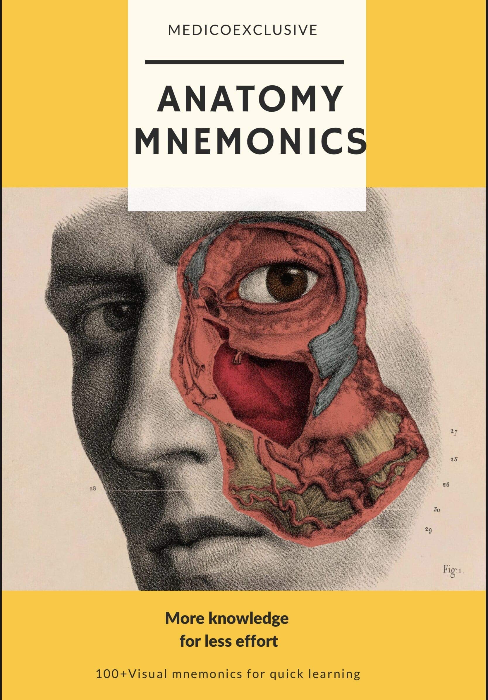 Anatomy mnemonics More knowledge for less effort by Medico Exclusive