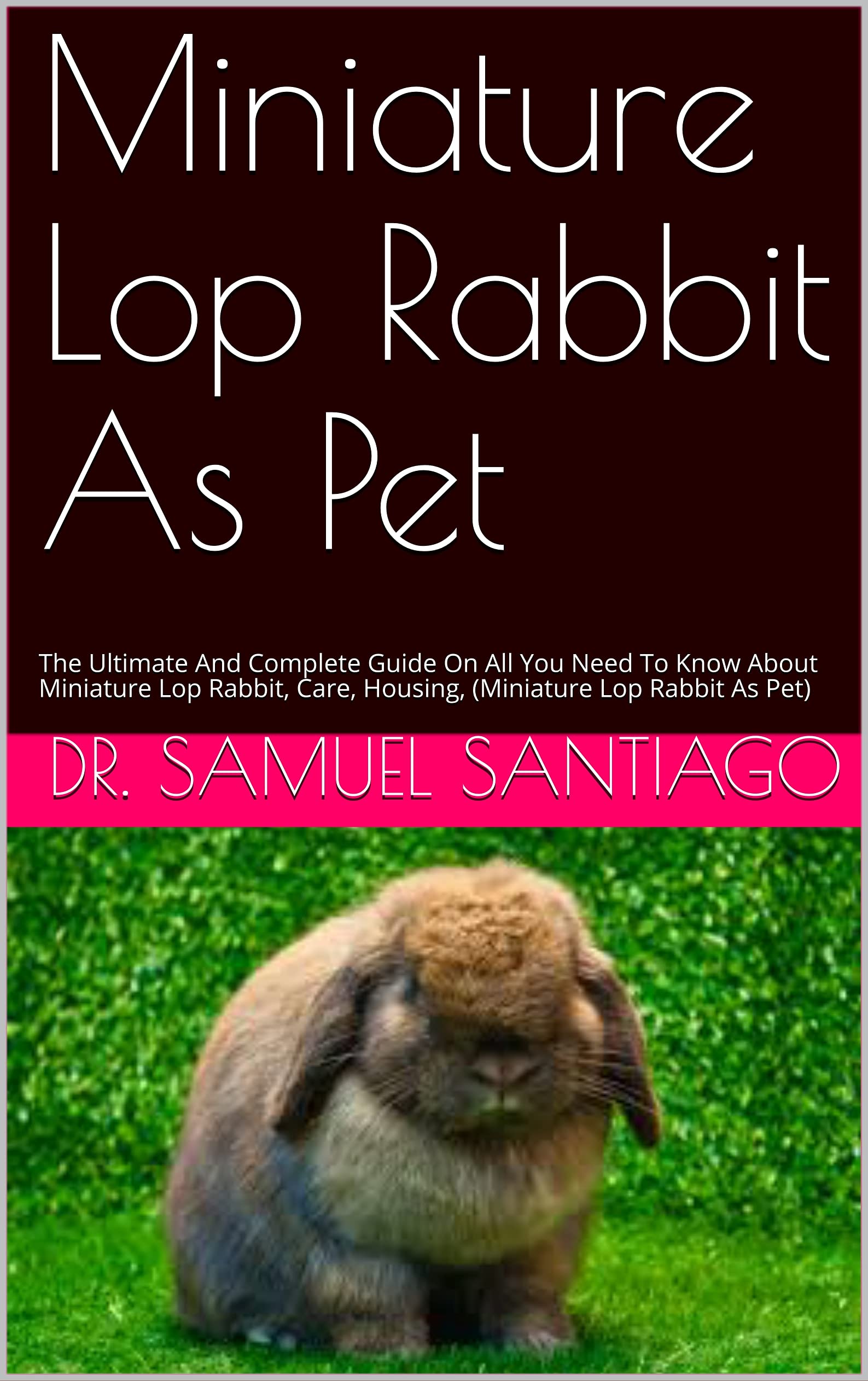 Miniature Lop Rabbit As Pet The Ultimate And Complete Guide On All You