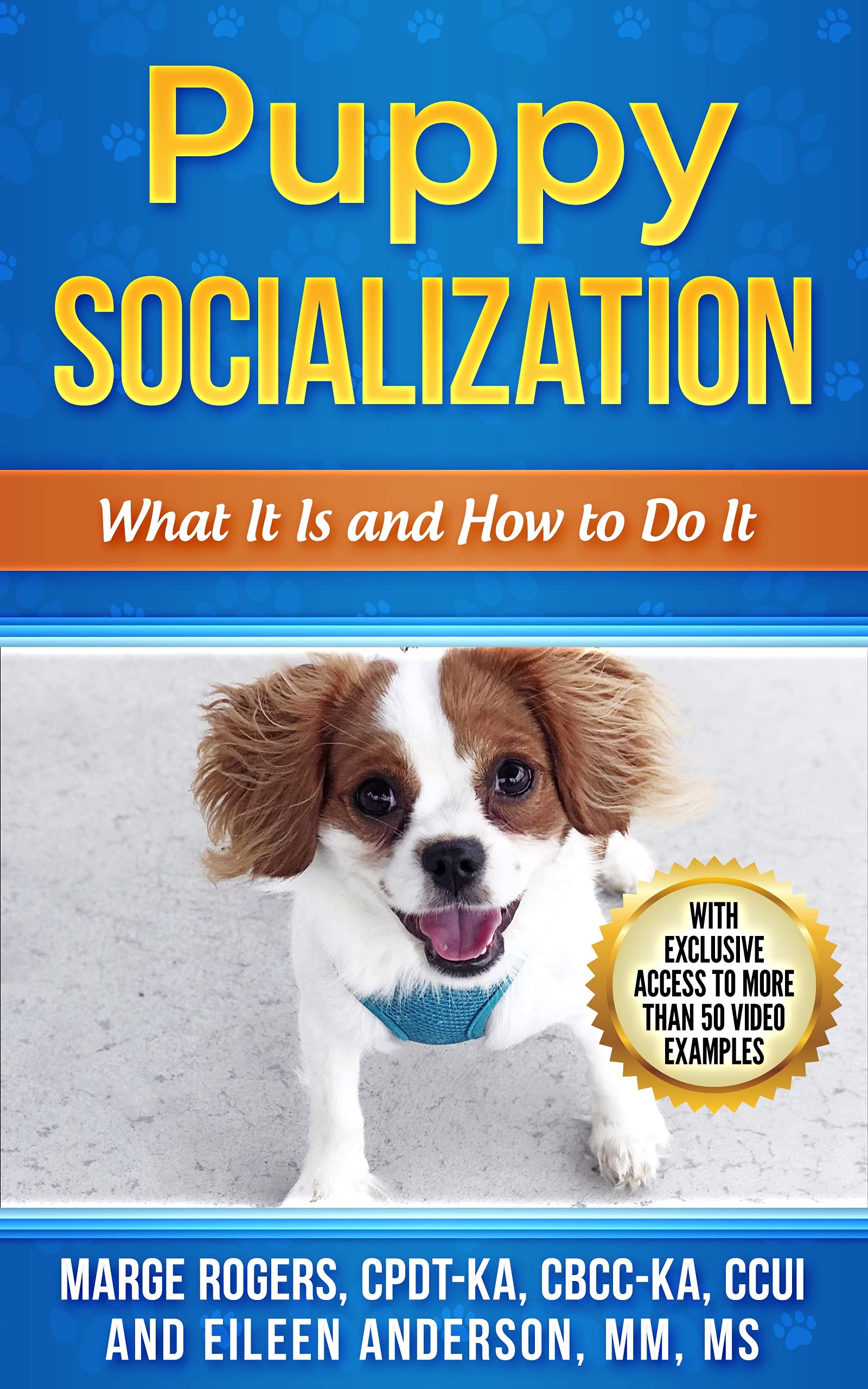 Puppy Socialization: What It Is and How to Do It
