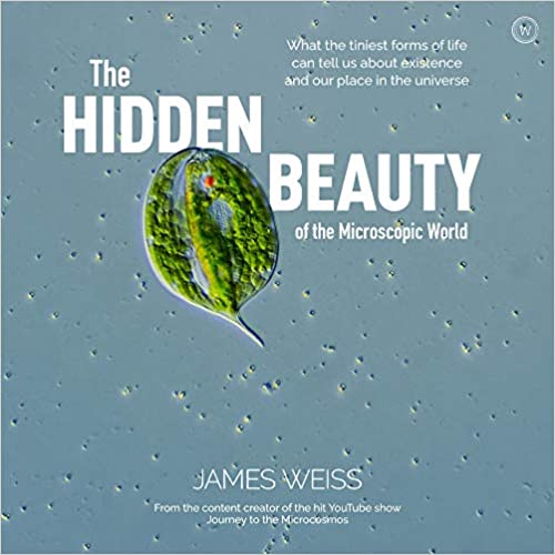 The Hidden Beauty of the Microcosmos: What the tiniest forms of life can tells us about existence and our place in the universe