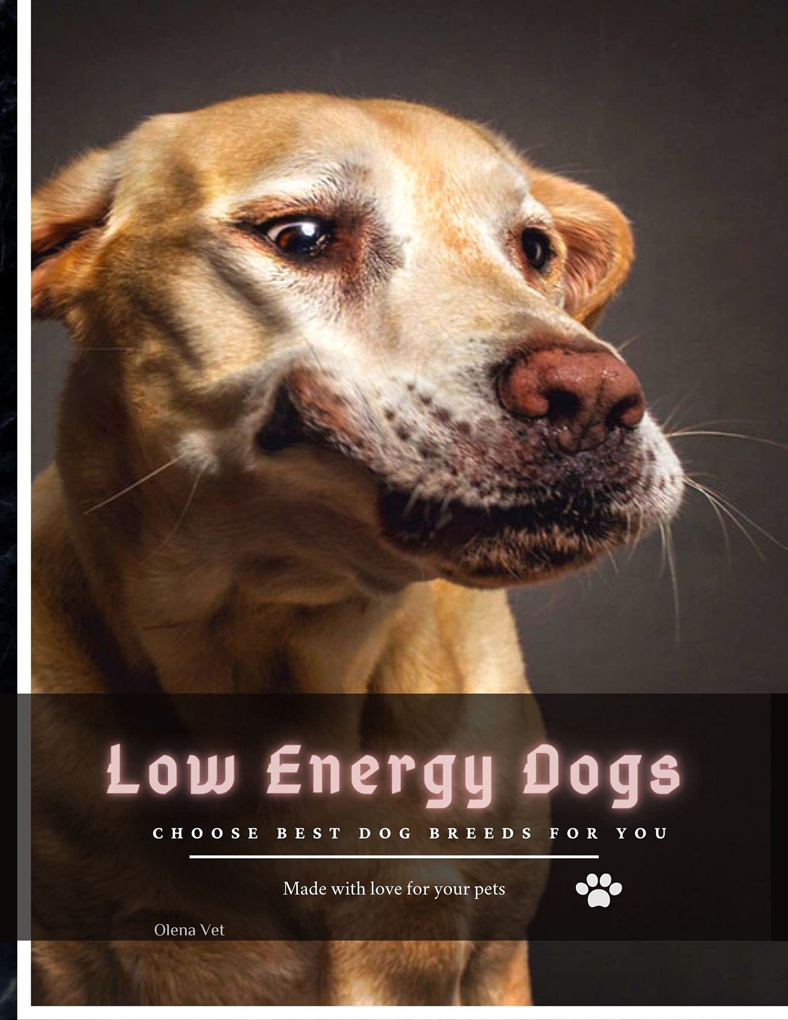 What Dogs Are Low Energy