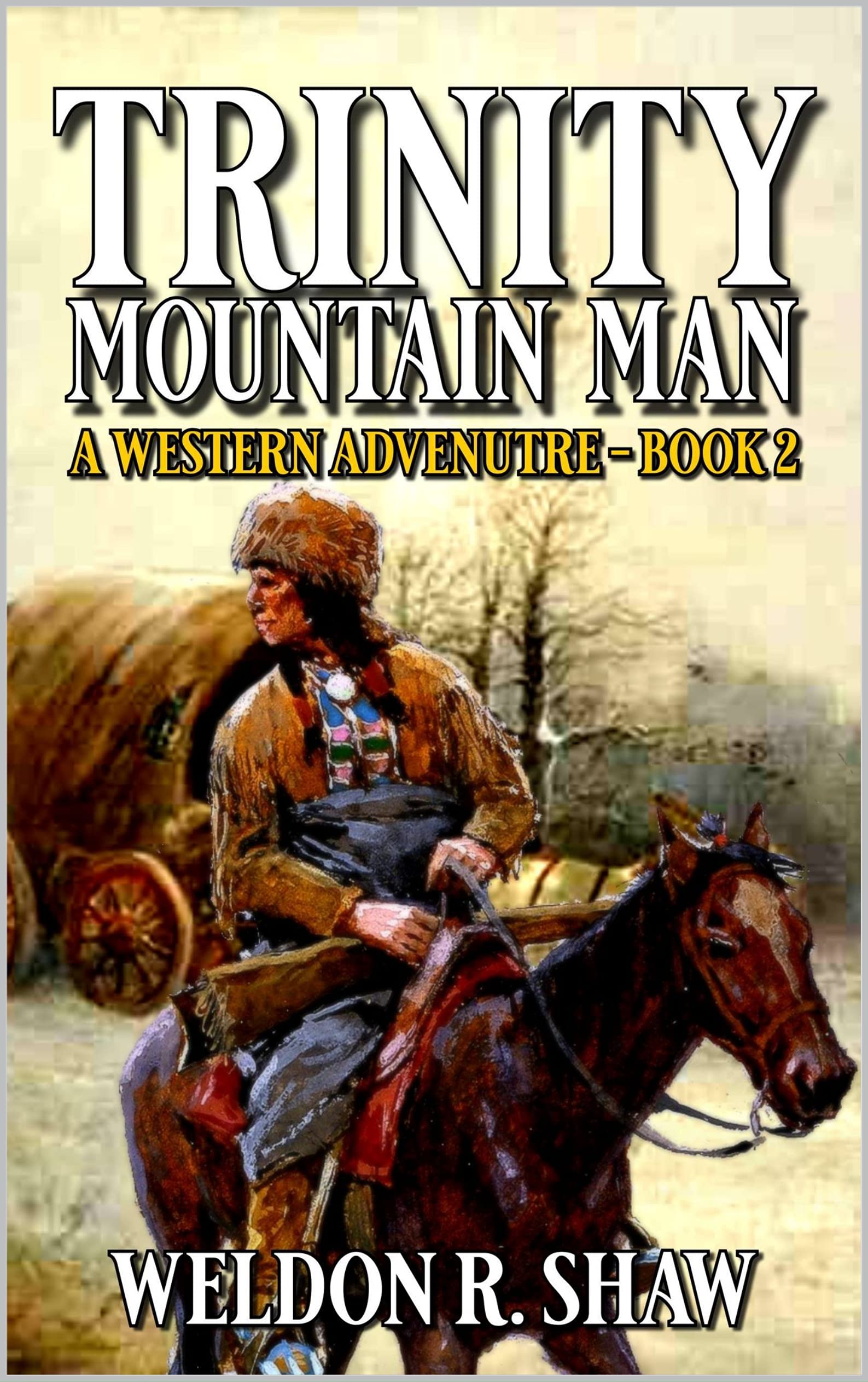 Trinity book cover