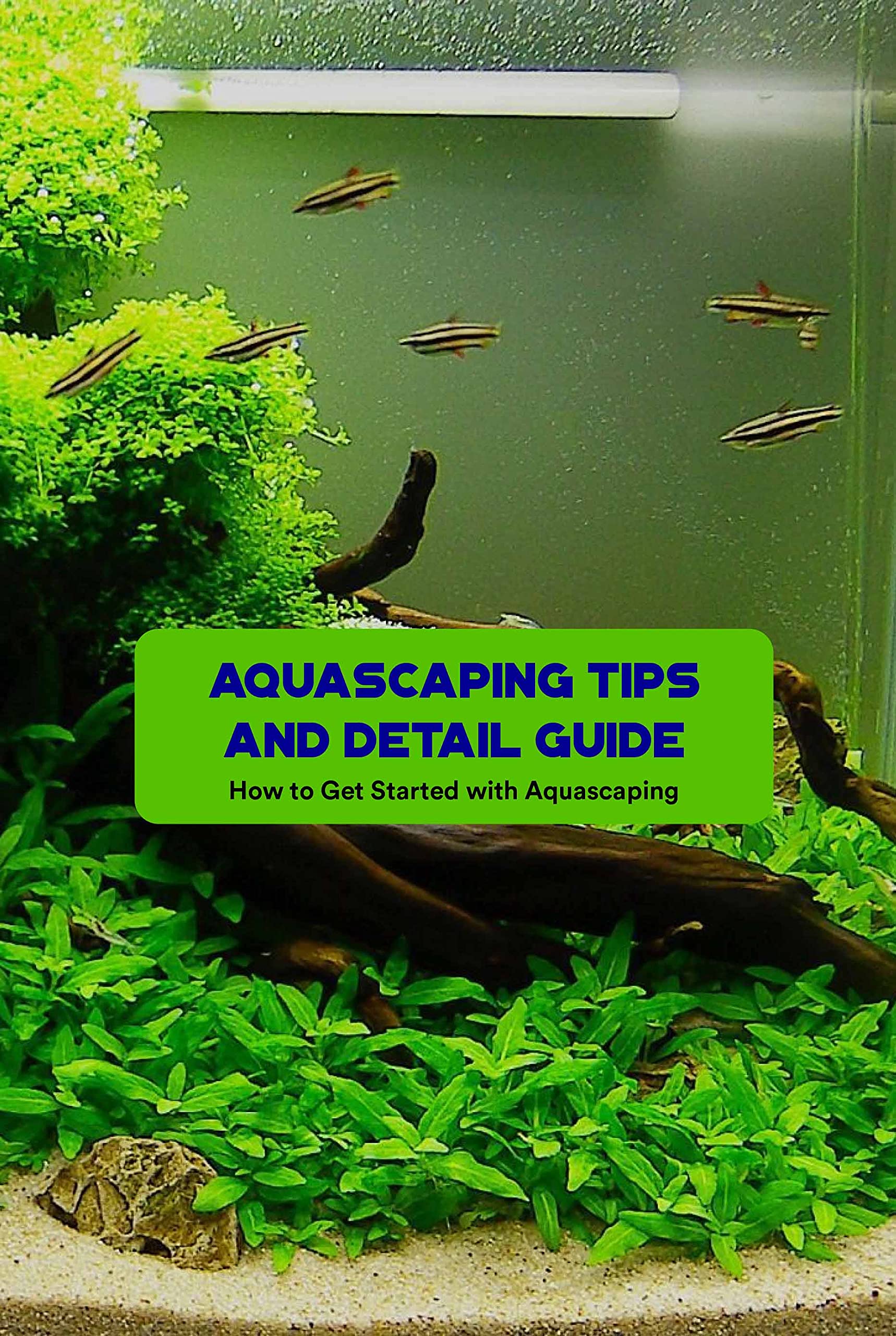 Aquascaping Tips and Detail Guide How to Get Started with Aquascaping