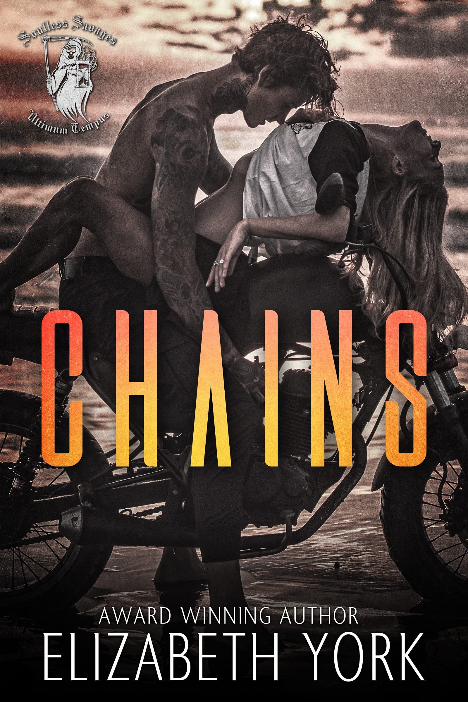 Chains book cover