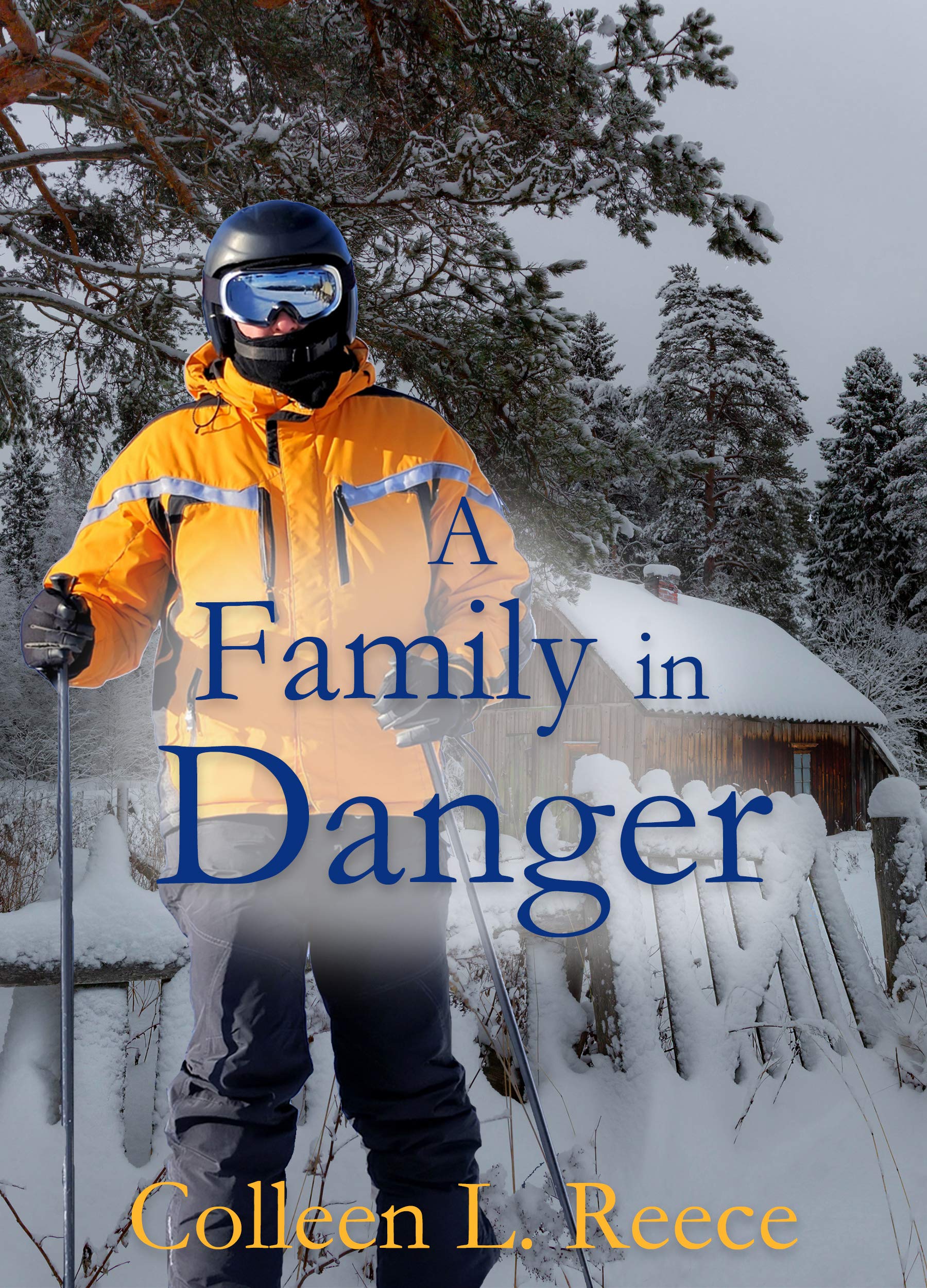 A Family in Danger by Colleen L. Reece Goodreads