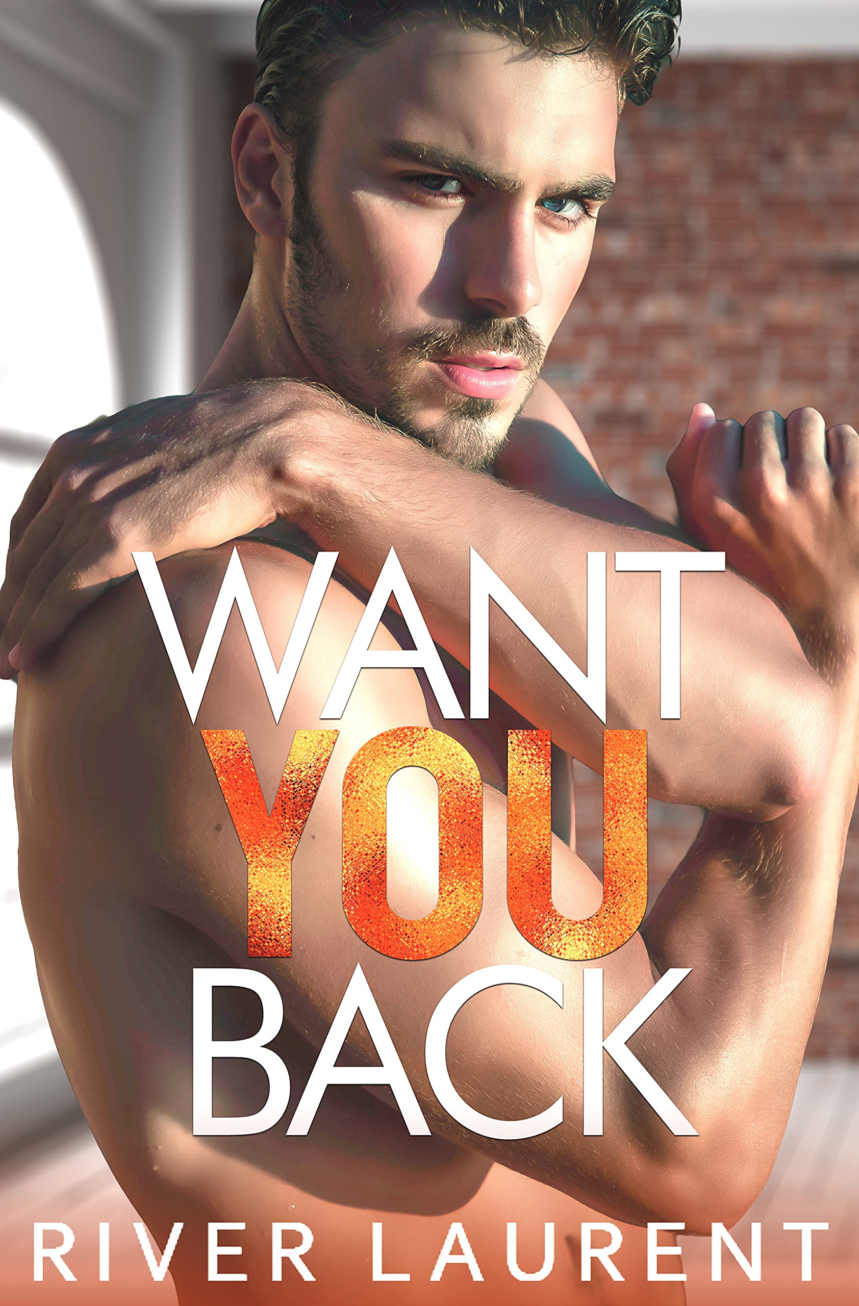 Want You Back book cover