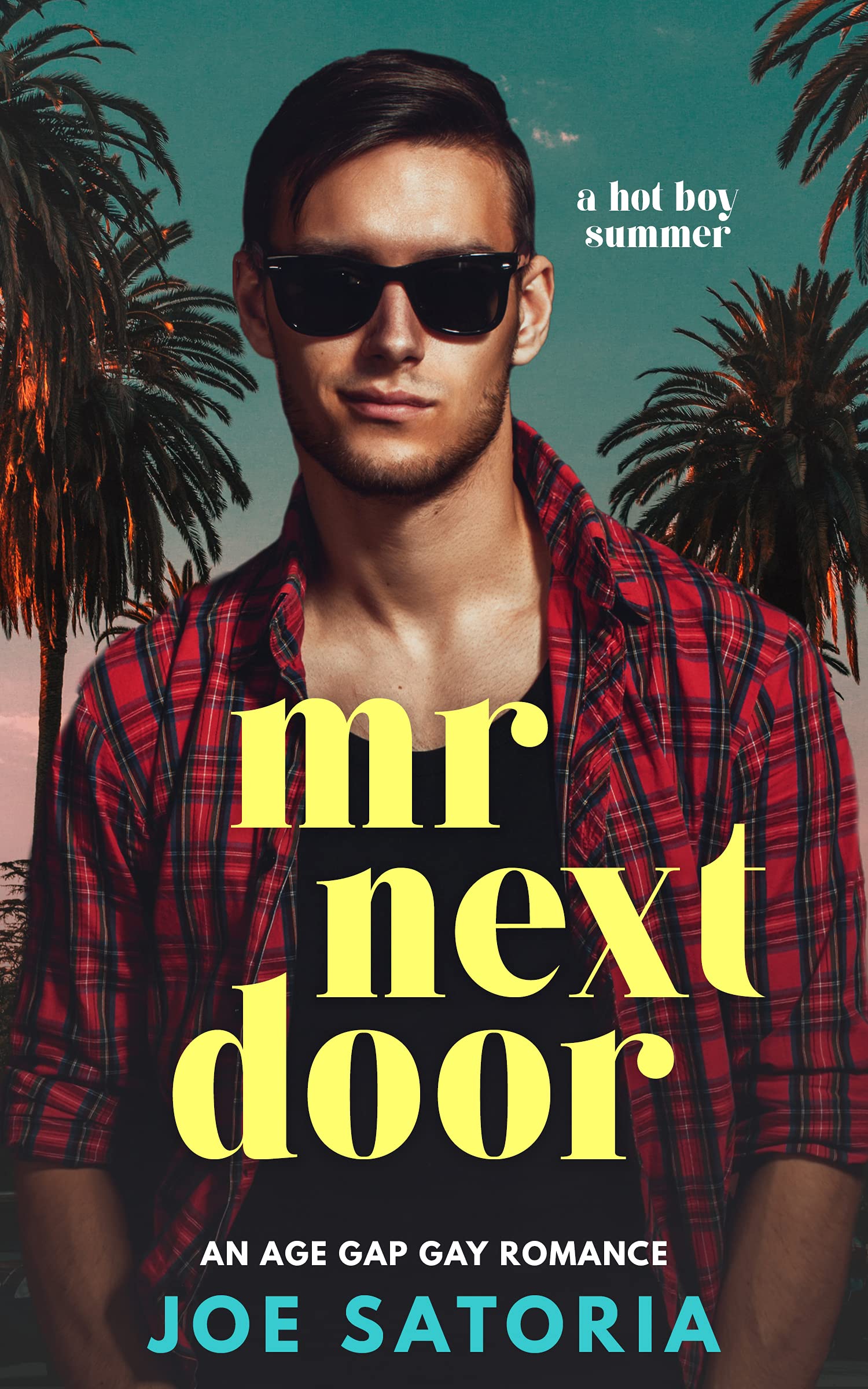 Mr Next Door book cover