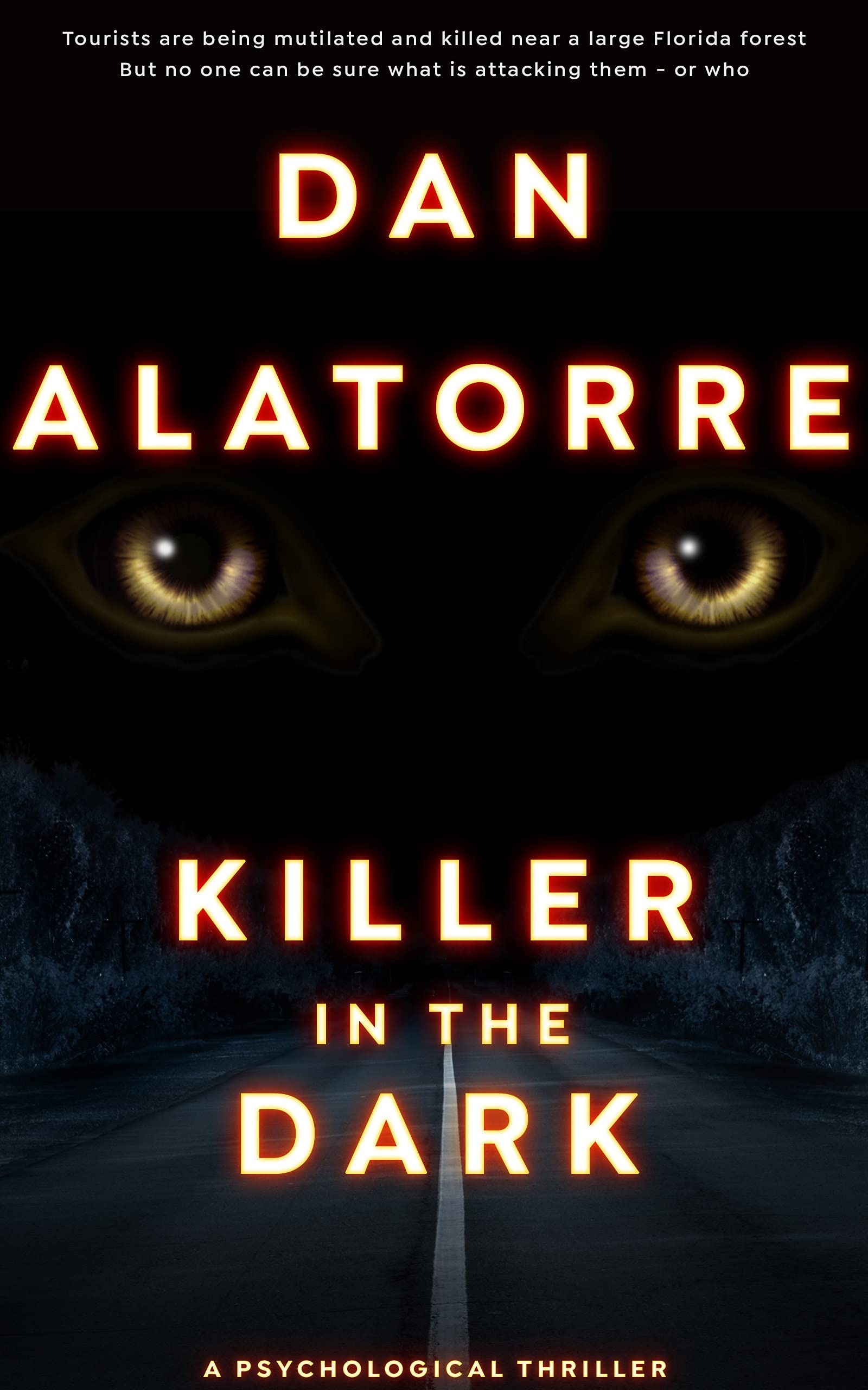 Killer in the Dark book cover
