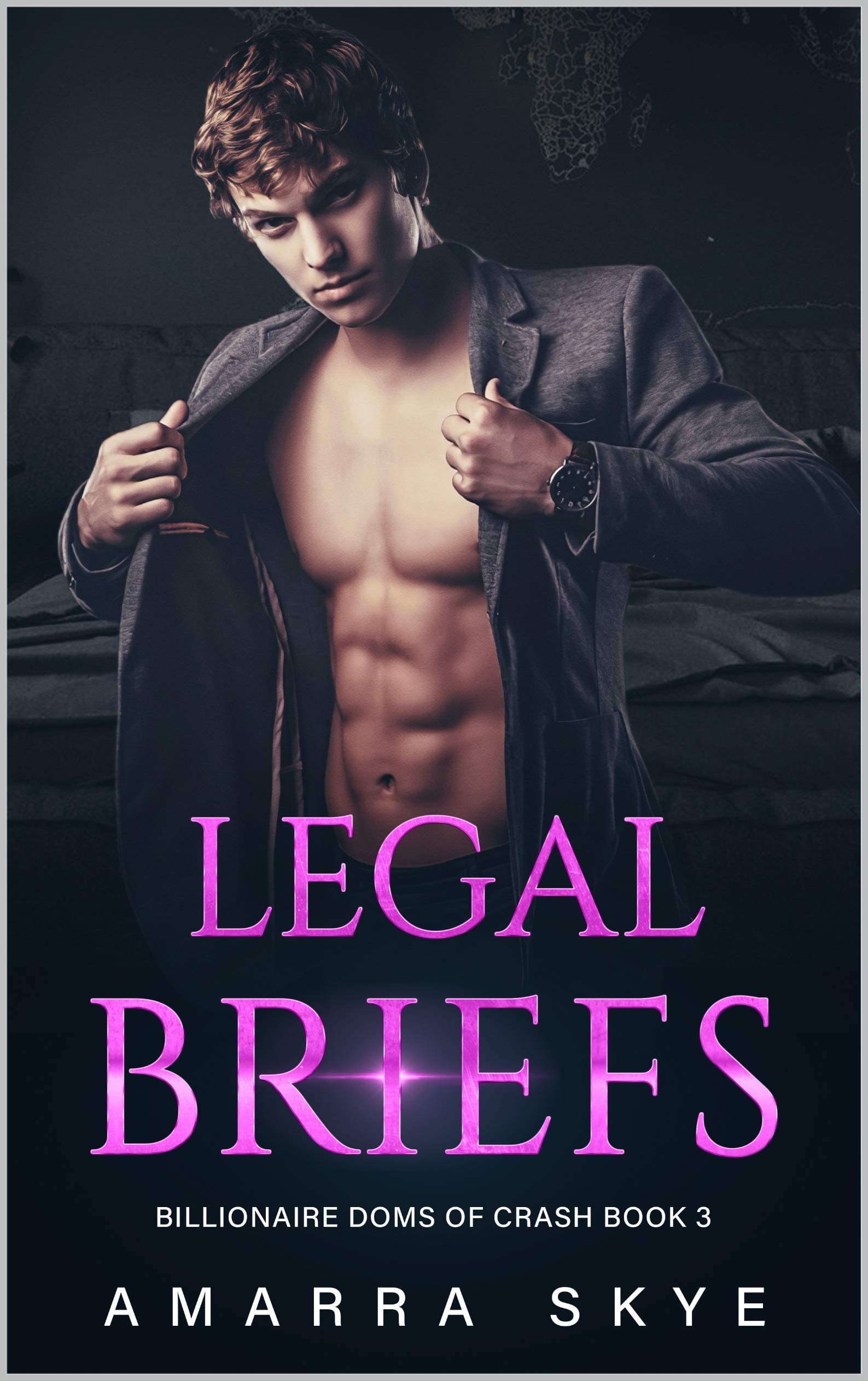 Legal Briefs book cover