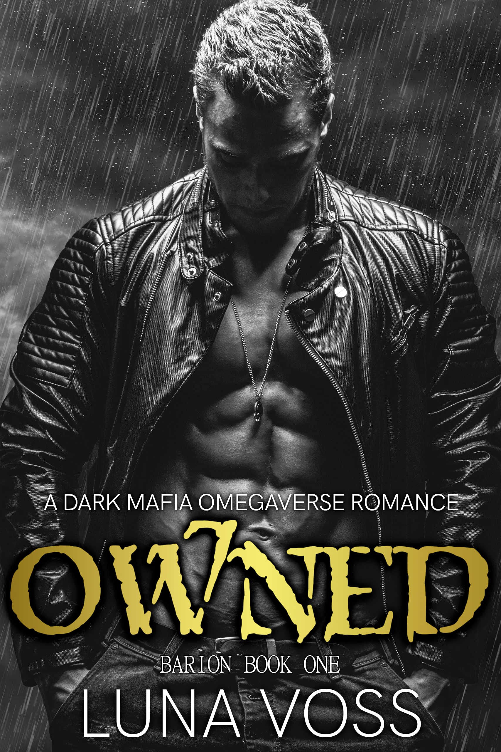 Barion book cover 1