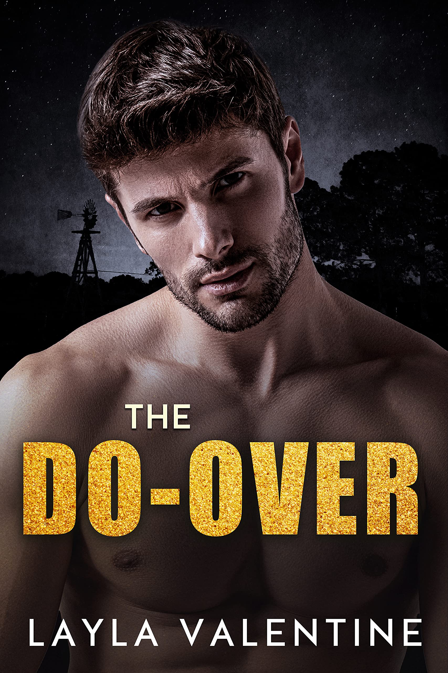 The Do-Over book cover