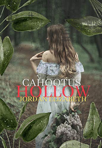 Cahootus Hollow book cover