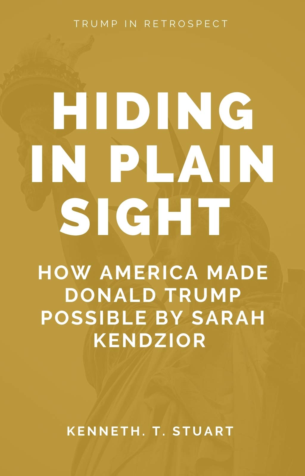 Hiding In Plain Sight How America Made Donald Trump Possible by Sarah