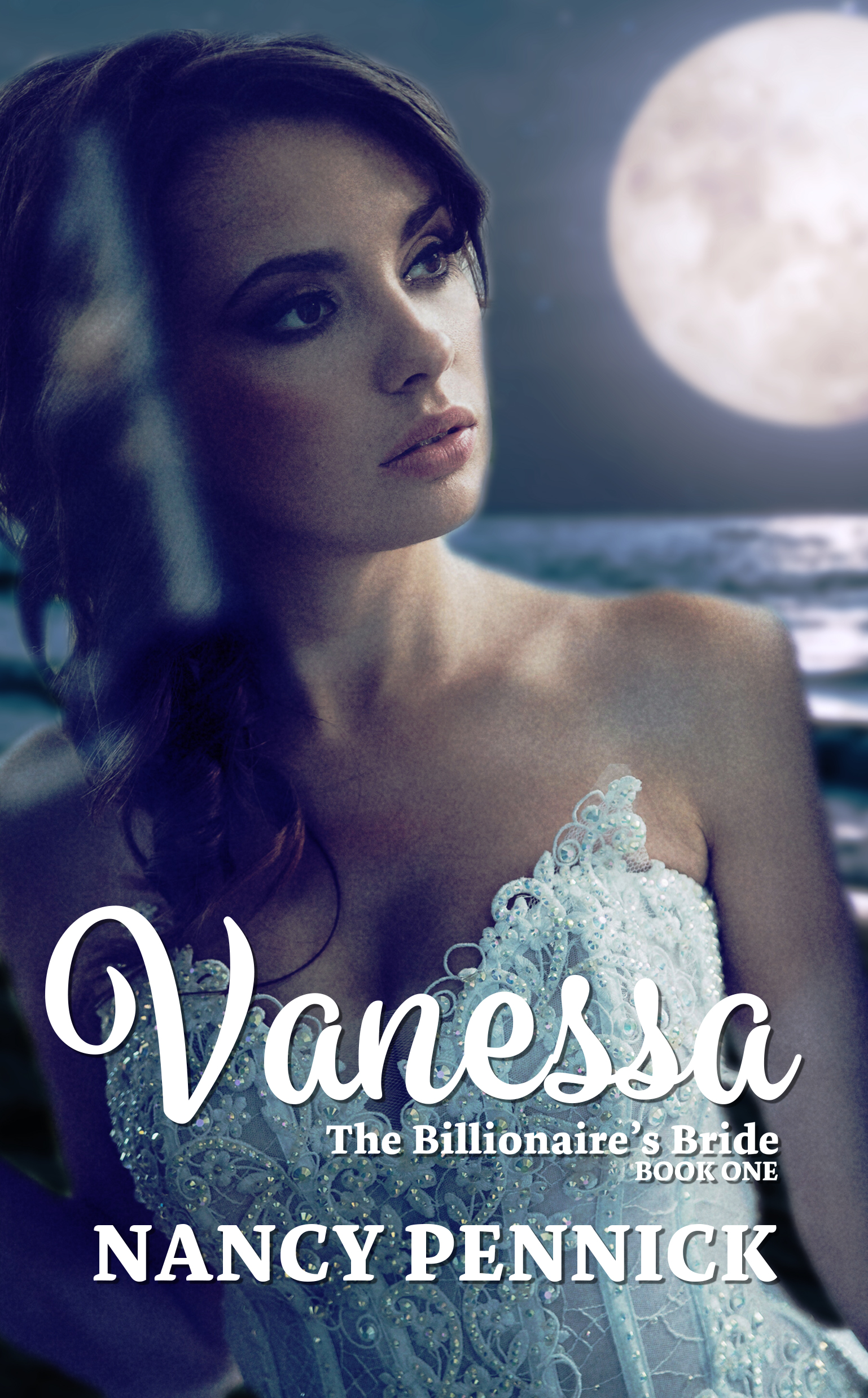 Vanessa book cover