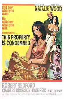 This Property is Condemned book cover