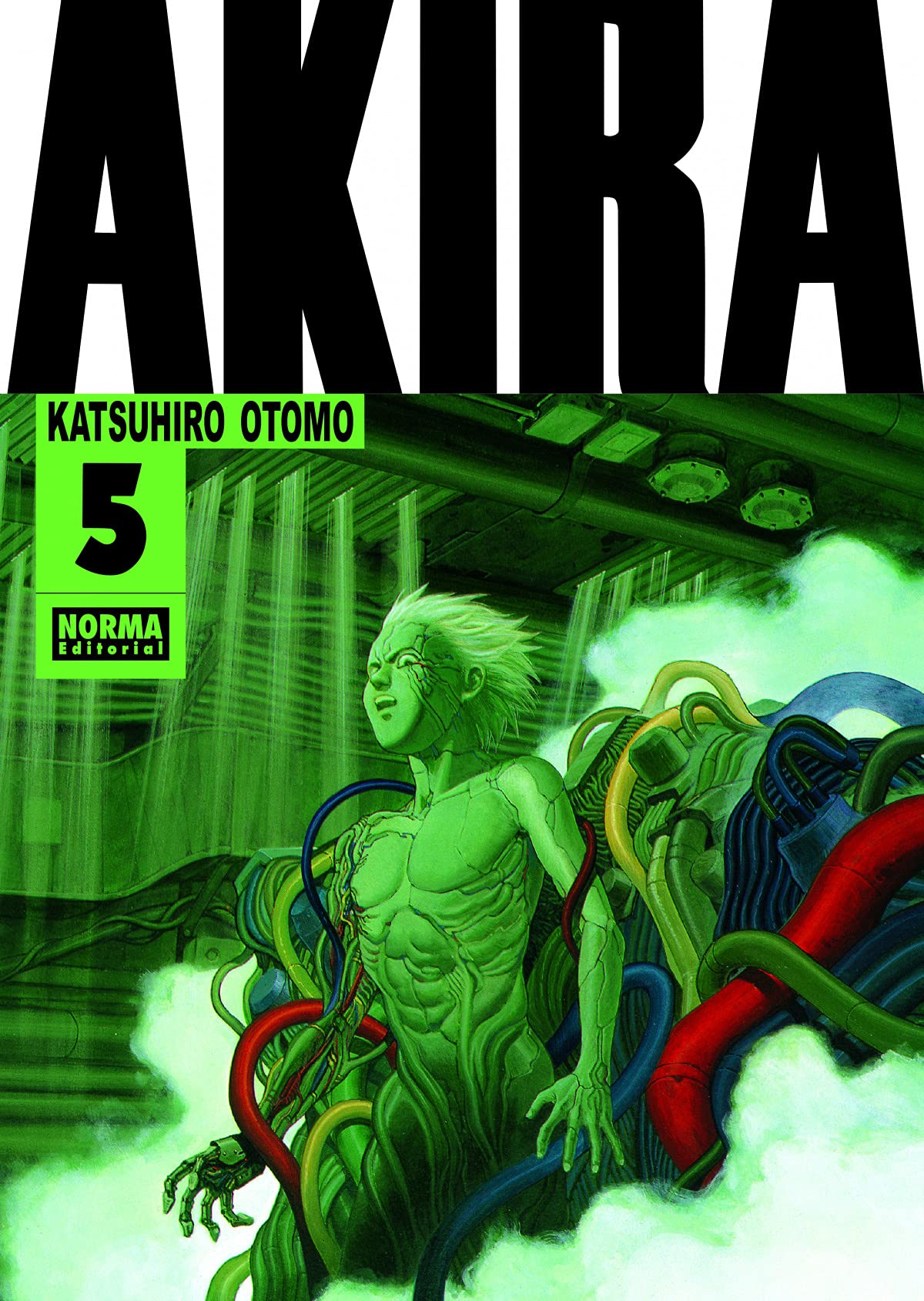 Akira, vol. 5 (Akira: 6 Volumes, #5)