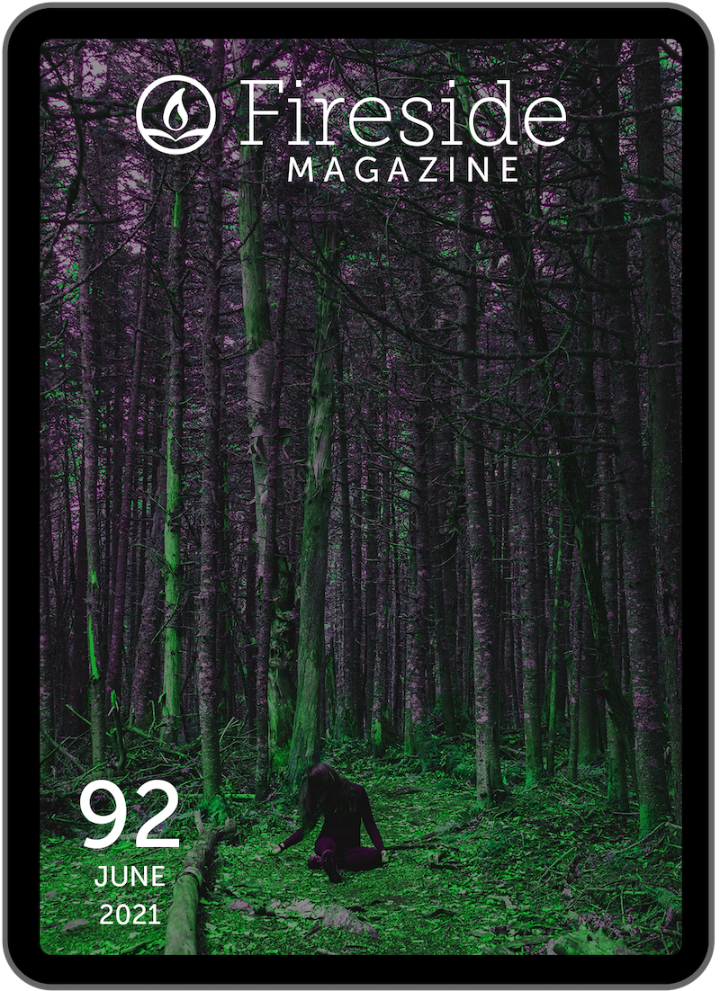 Fireside Magazine Issue 92, June 2021 book cover