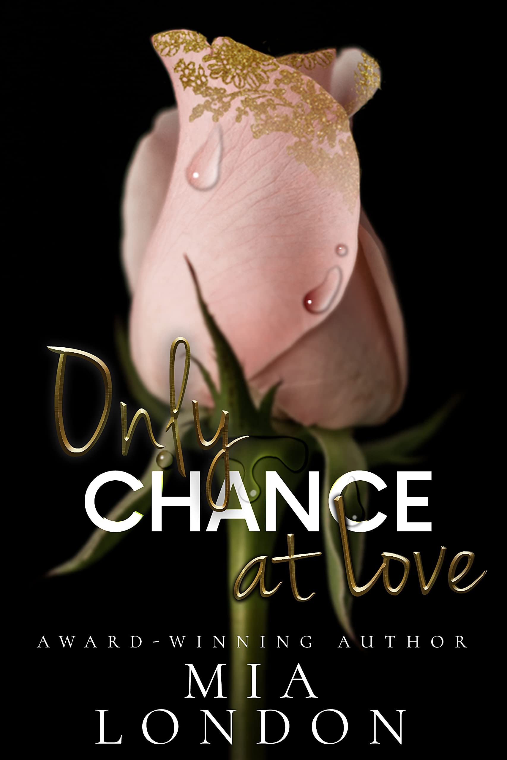 Only Chance at Love book cover