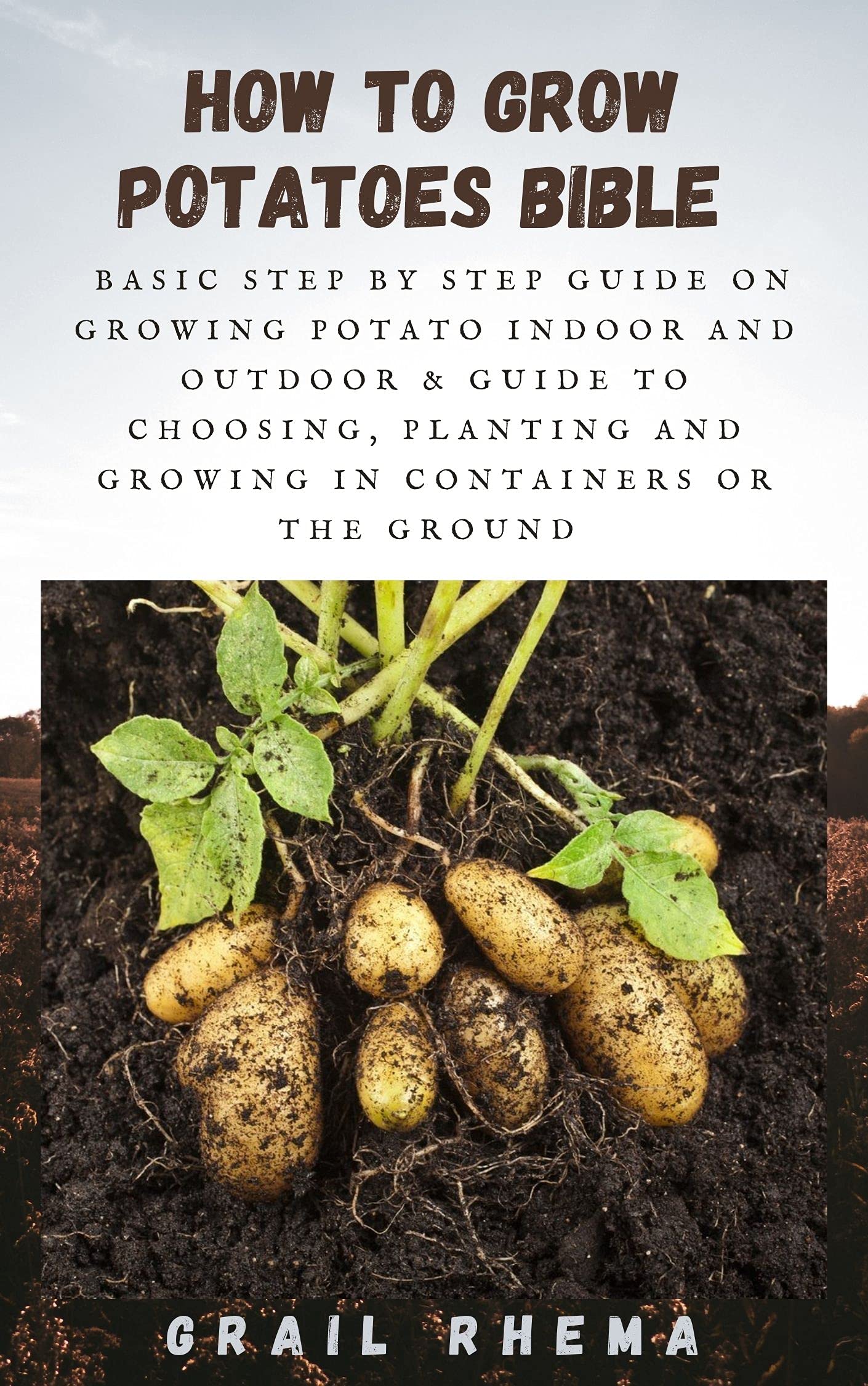 How To Grow Potatoes Bible Basic Step by Step Guide on Growing Potato