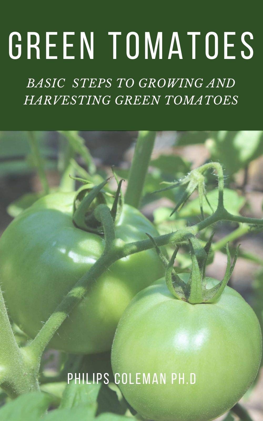 GREEN TOMATOES Basic Steps To Growing And Harvesting Green Tomatoes by