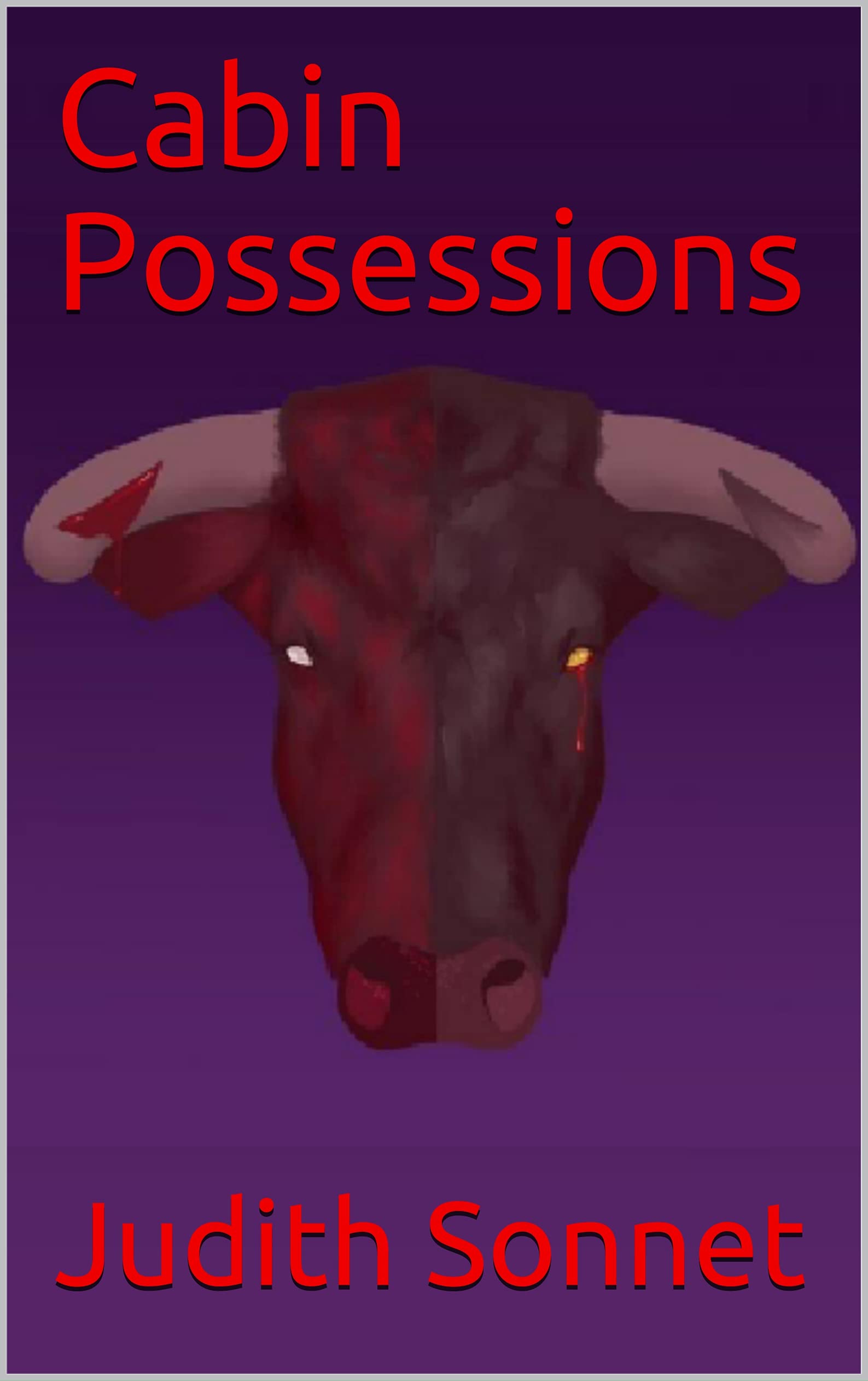 Cabin Possessions