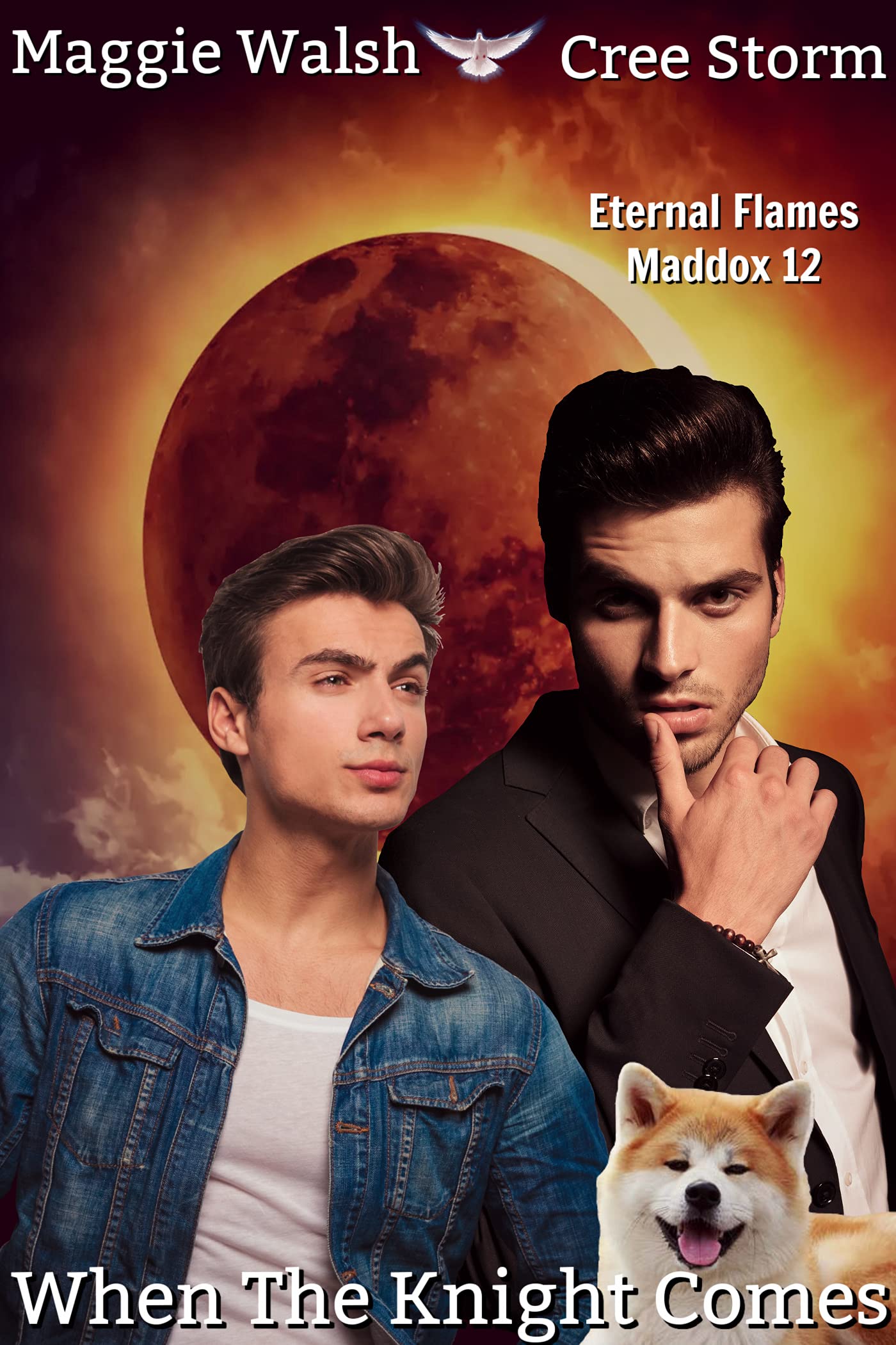 When the Knight Comes book cover