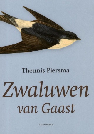 Zwaluwen van Gaast
