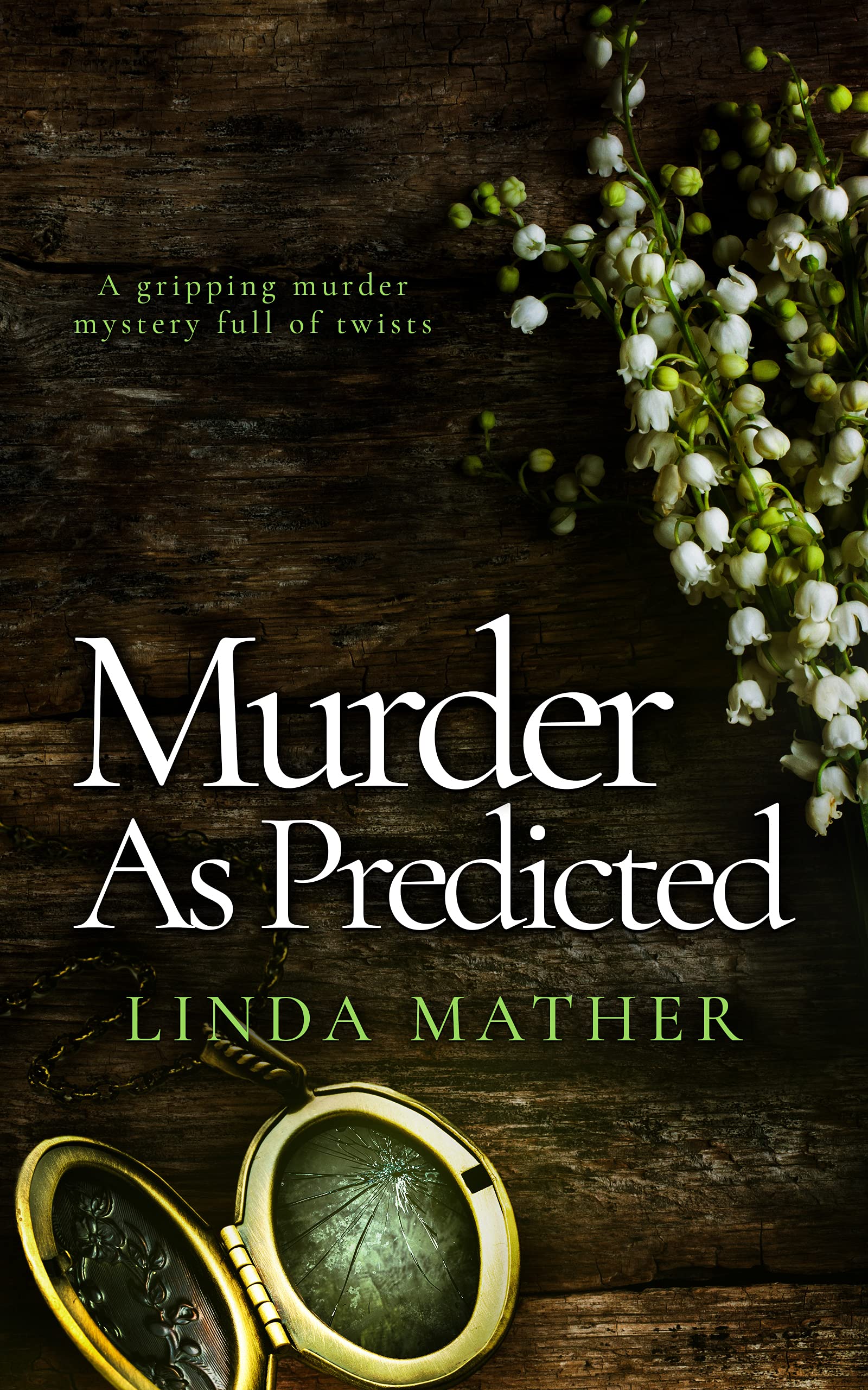 Jo and Macy Mysteries book cover 3